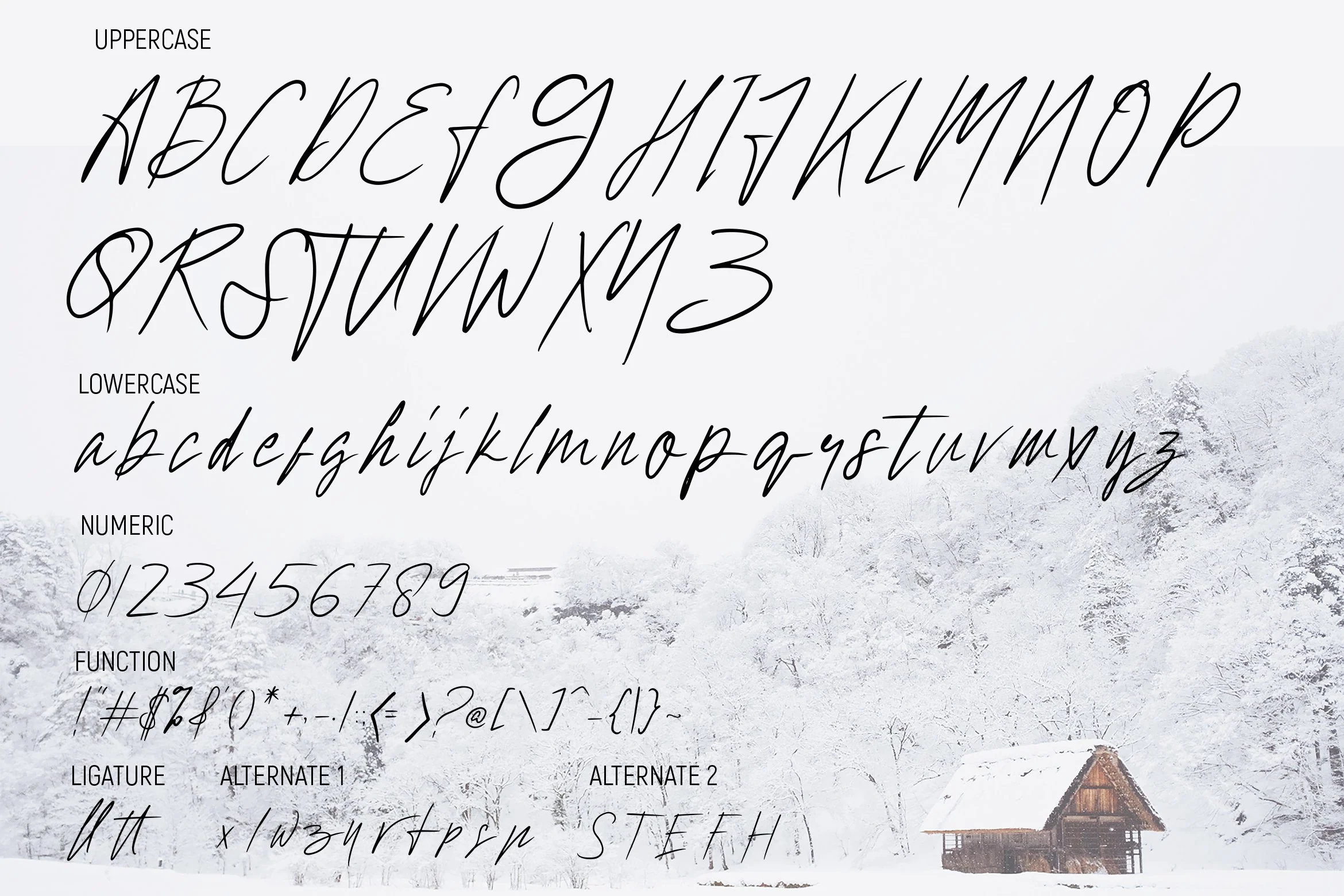 Hollywise - Signature Script Font - Image 5