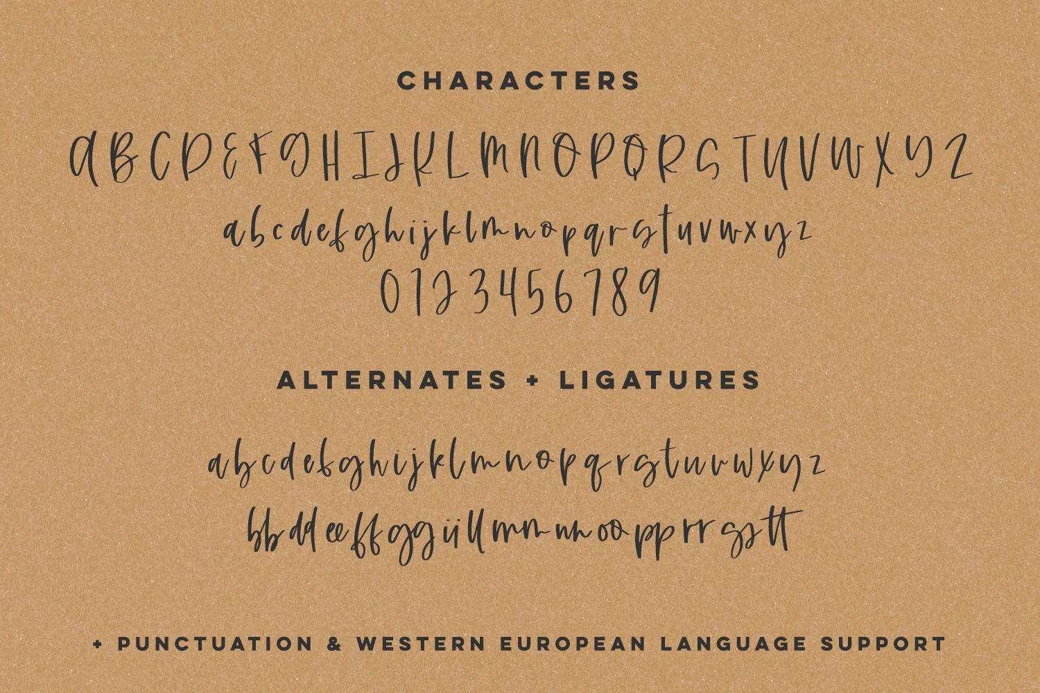 Honeylight Script - Image 10