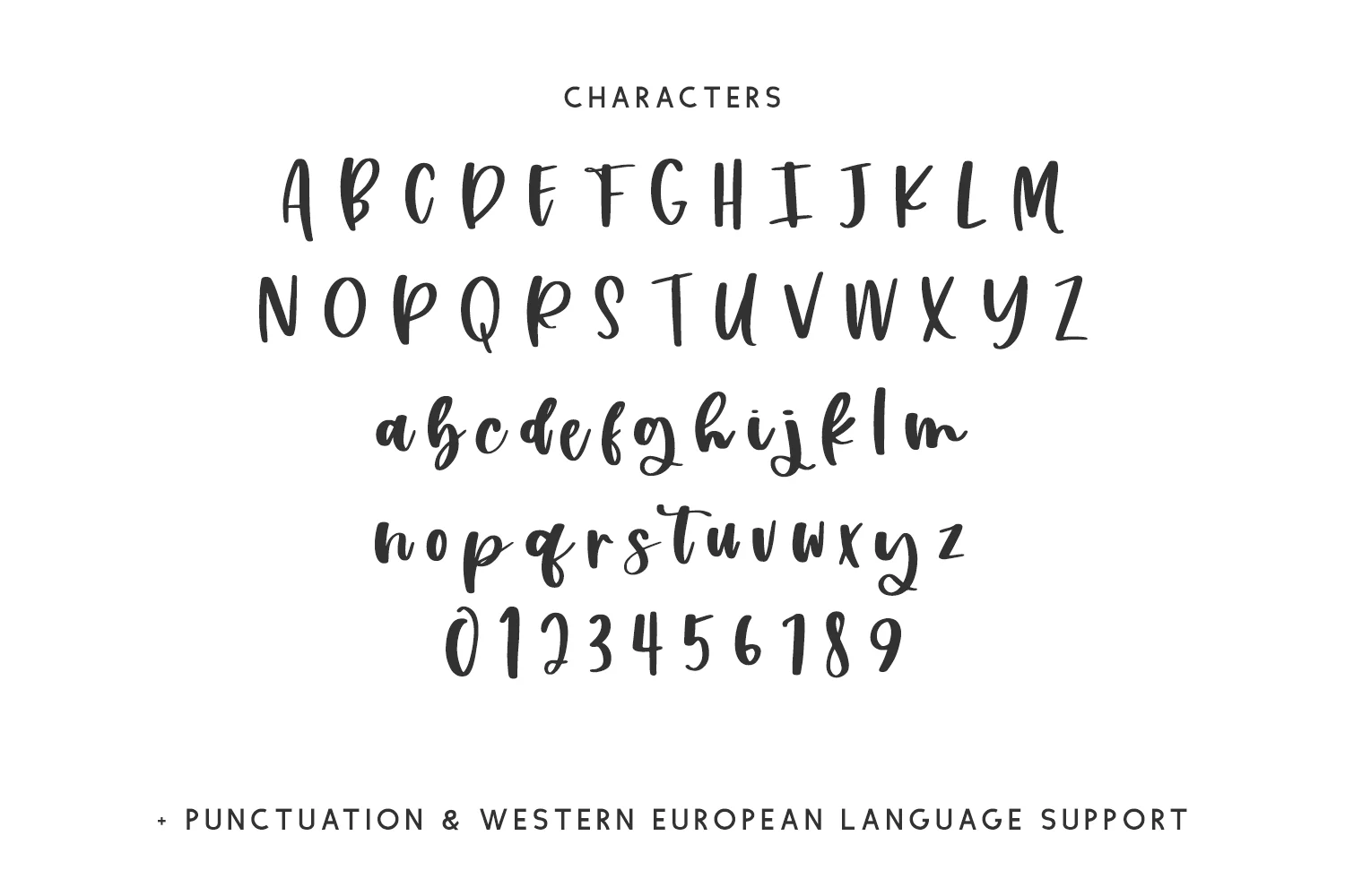 Inkerly Script - Image 10