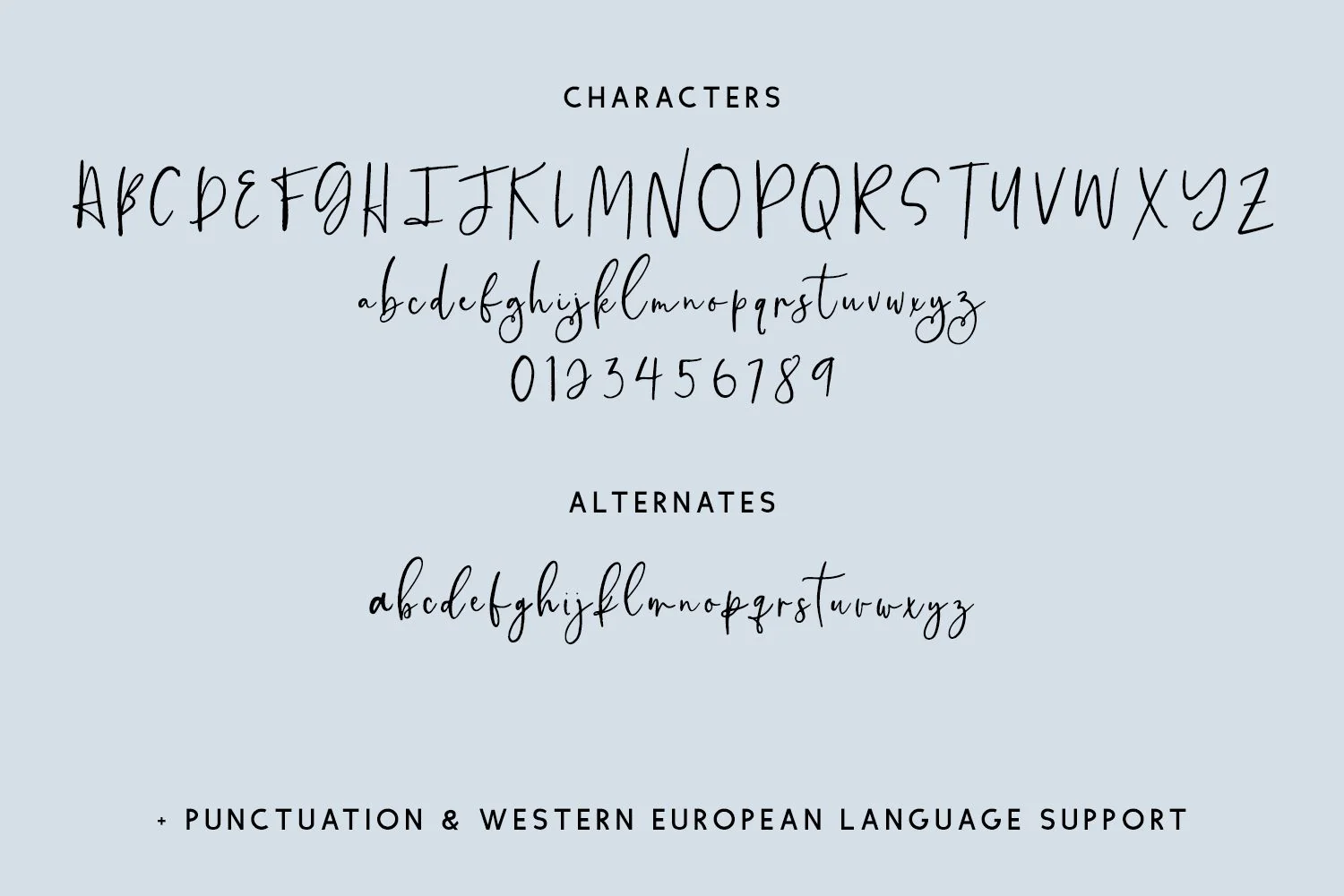 Islay Script - Image 10