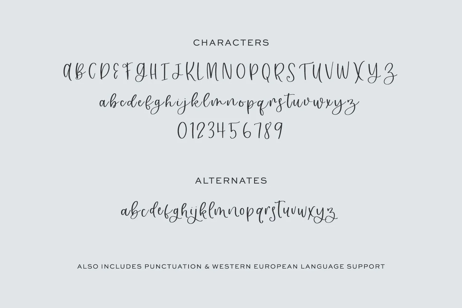 Kennaston Calligraphy Script - Image 10