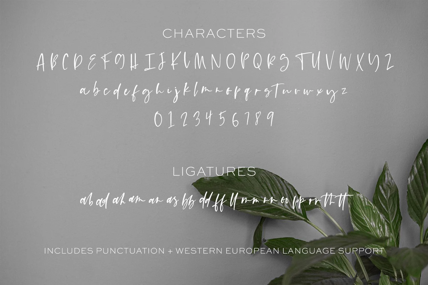Lofthouse Script - Image 10