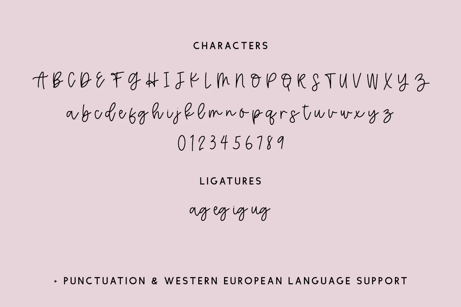 Make Fancy Script - Image 10
