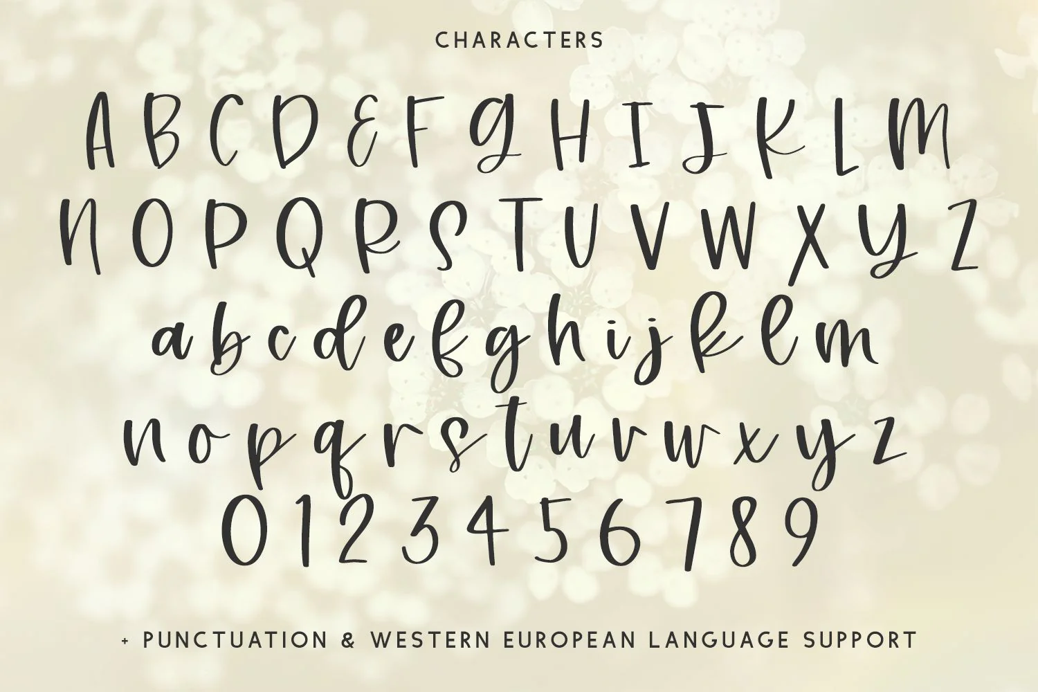 Meadowsweet Script - Image 10