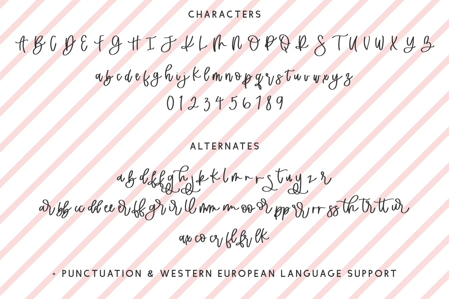 Merry Everything Script - Image 10