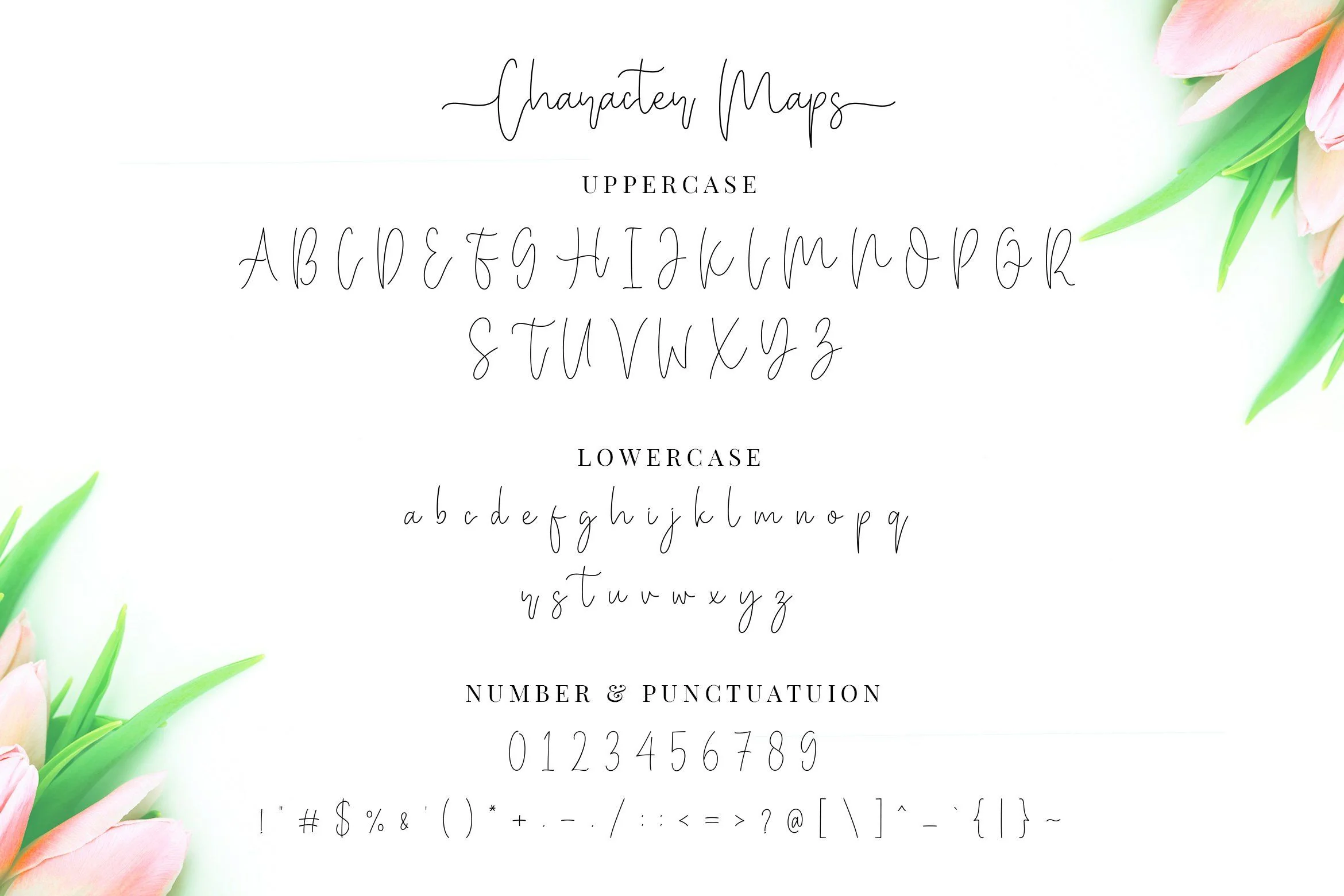 Miya Wayne - Modern Lovely Script Font - Image 13