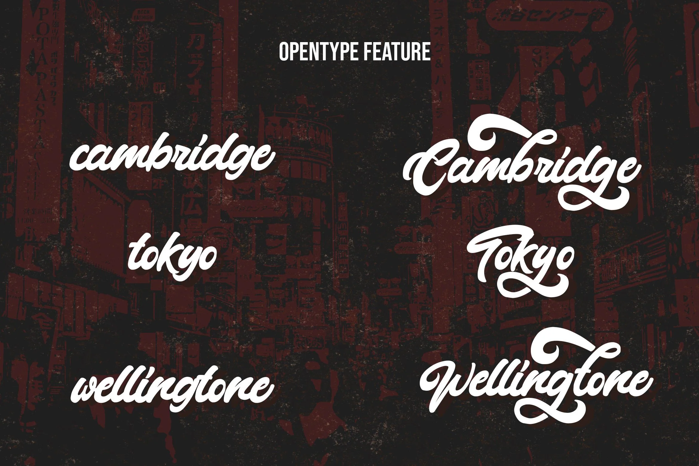 Montages - Retro Bold Script Font - Image 14
