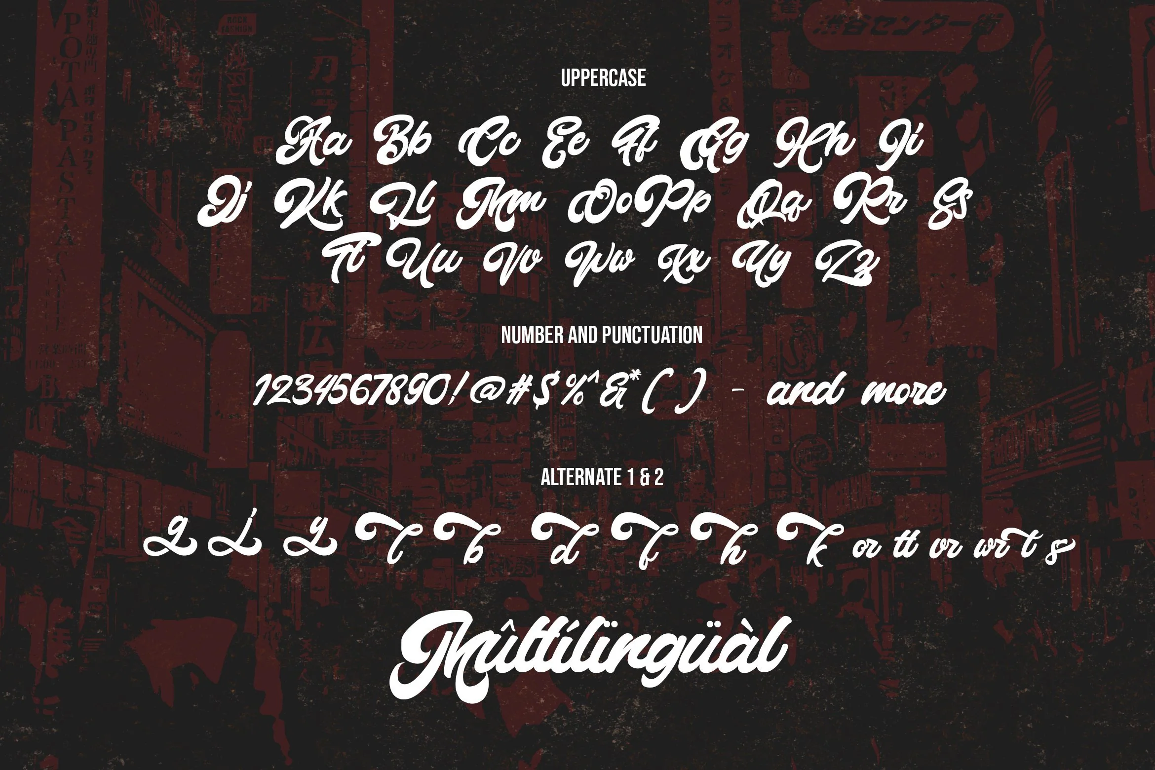 Montages - Retro Bold Script Font - Image 15