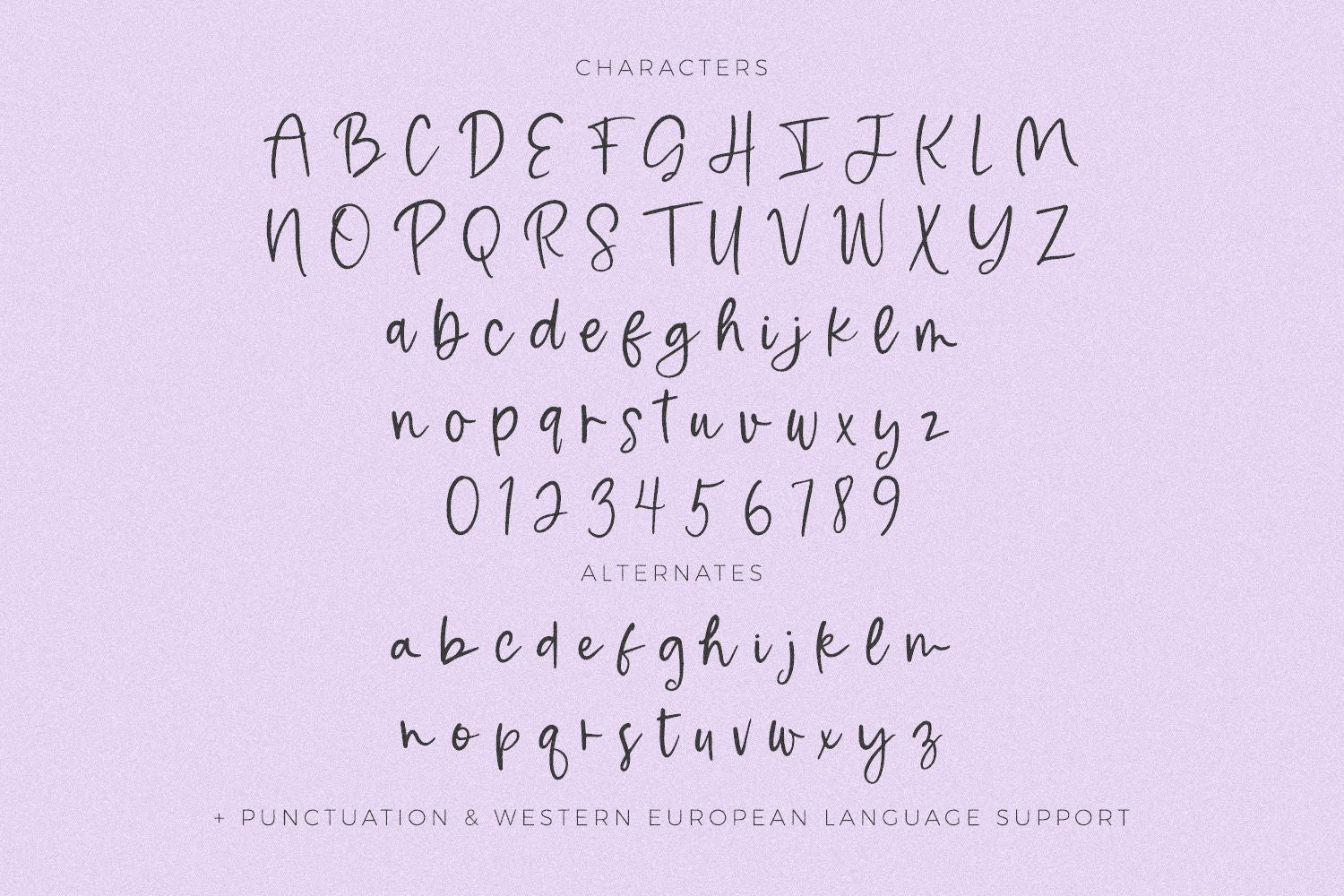 Moonbeam Script - Image 10