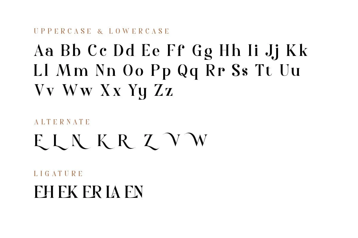 Nolaten - Serif Display Font - Image 9