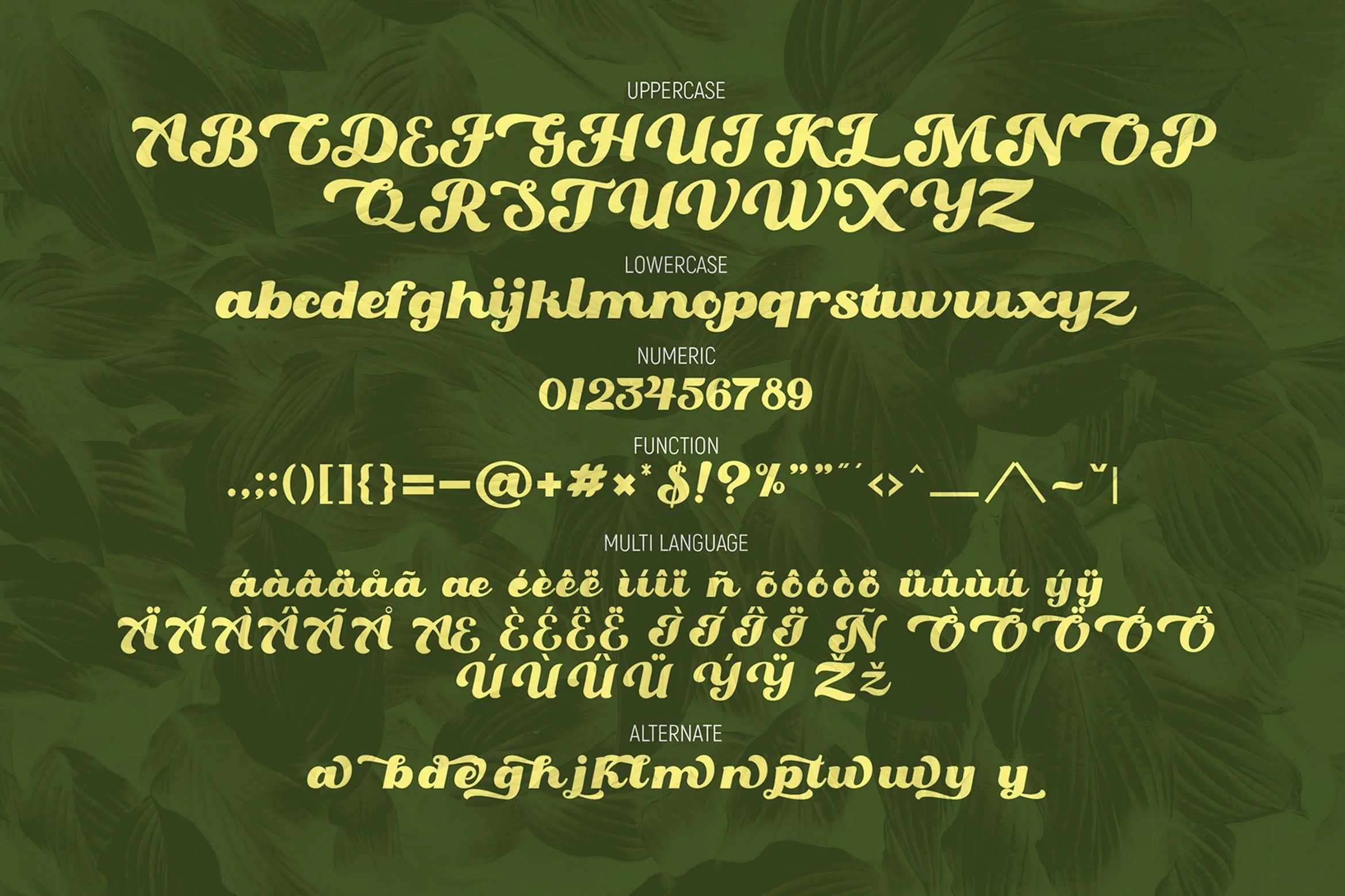 Oaklash - Retro Bold Script Font - Image 6