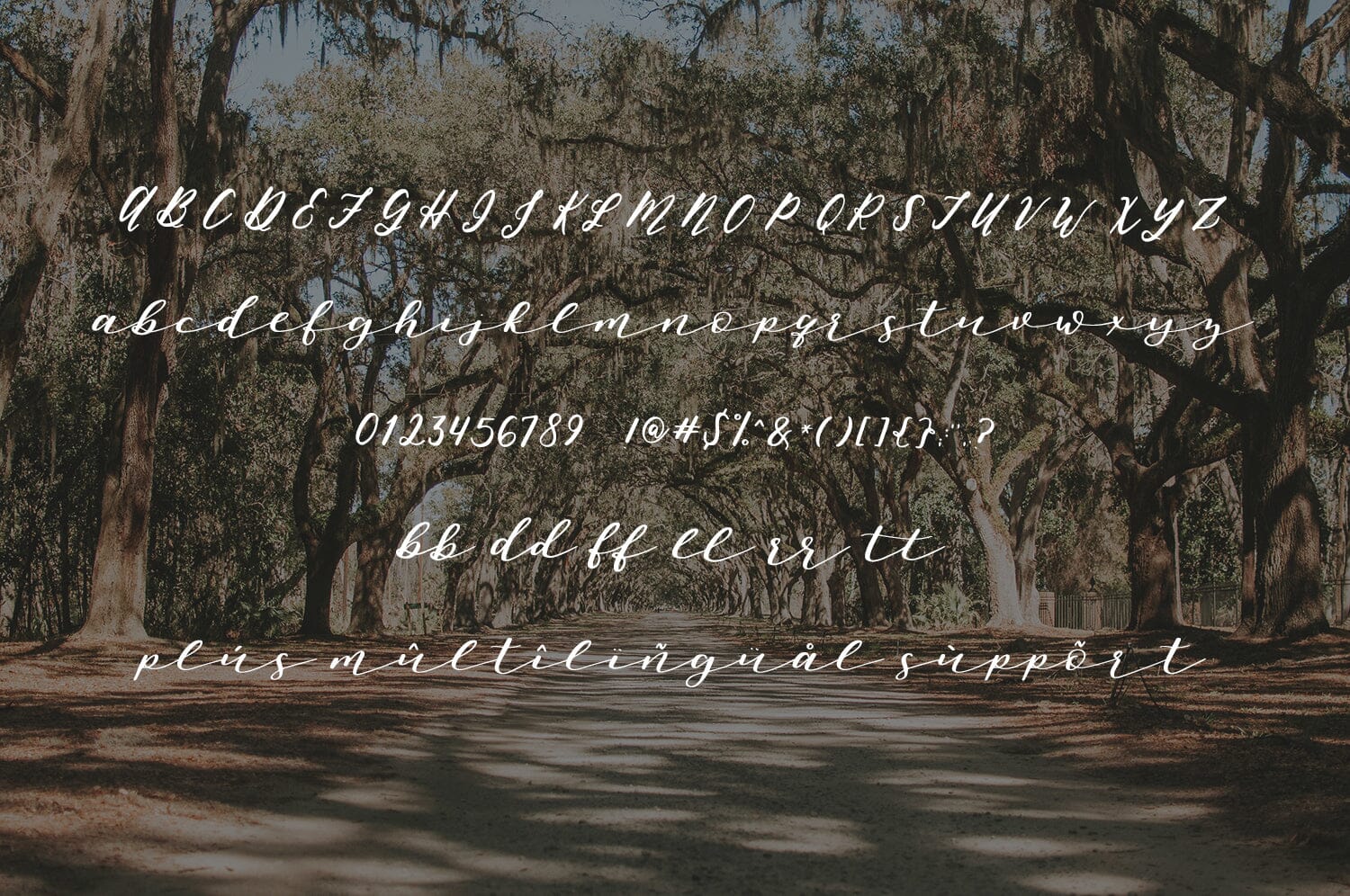 Oh, Savannah! Script - Image 7