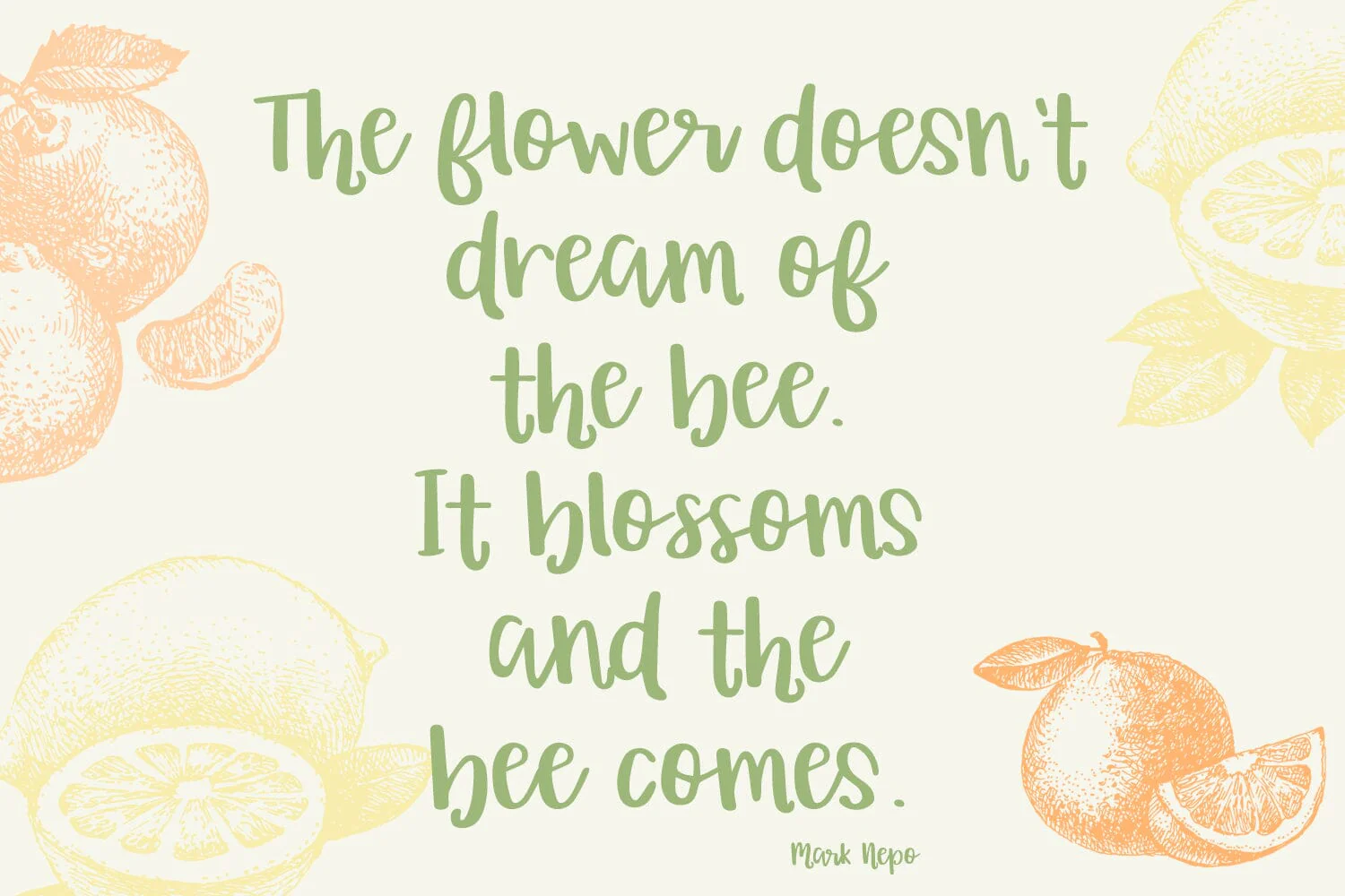 Orange Grove Script Typeface - Image 3