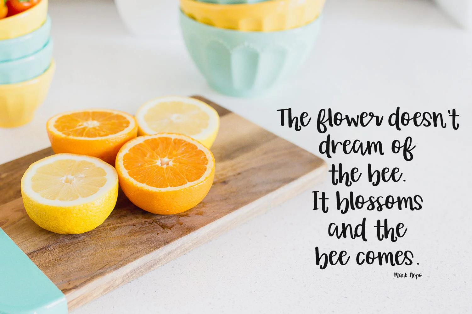 Orange Grove Script Typeface - Image 4