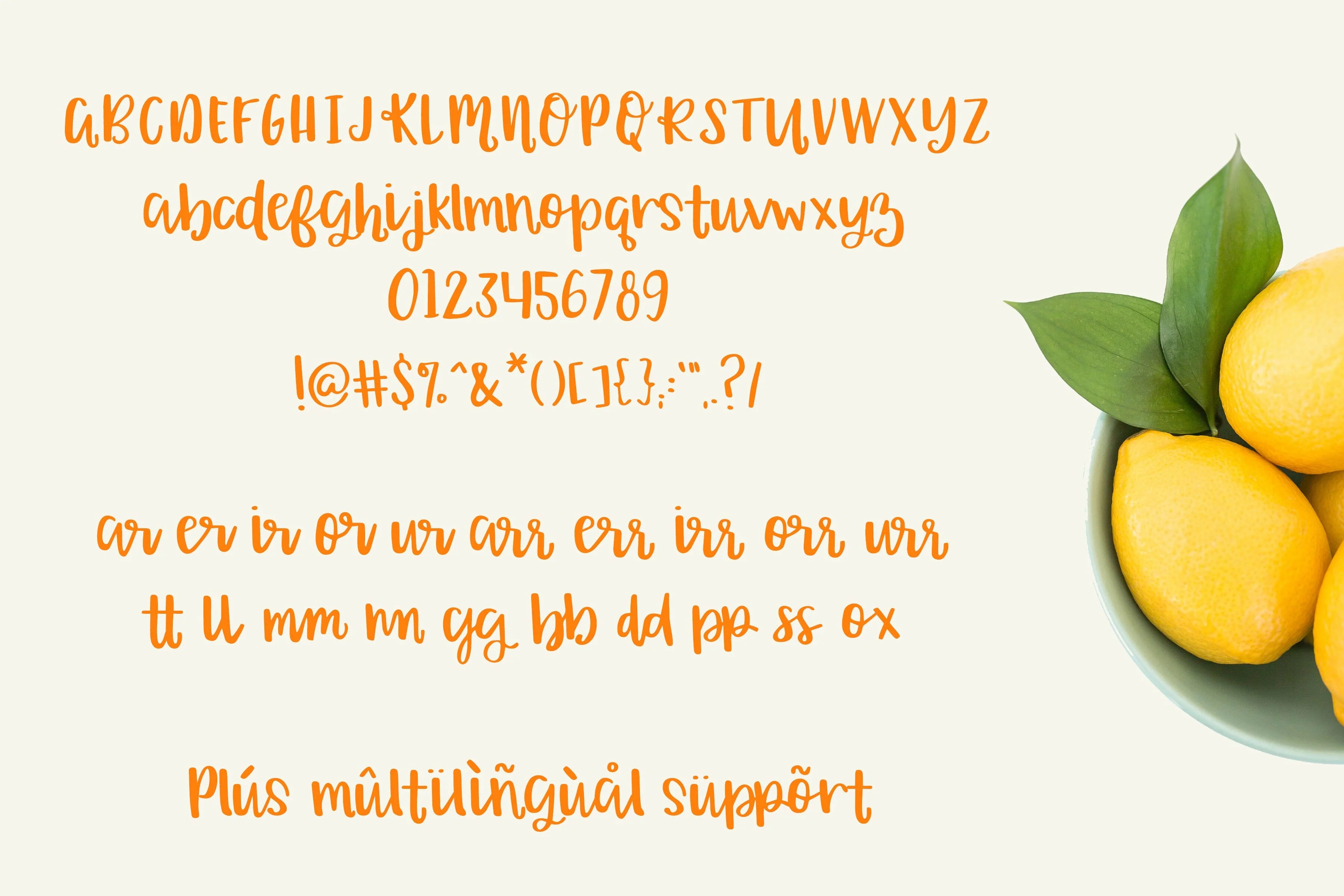 Orange Grove Script Typeface - Image 5