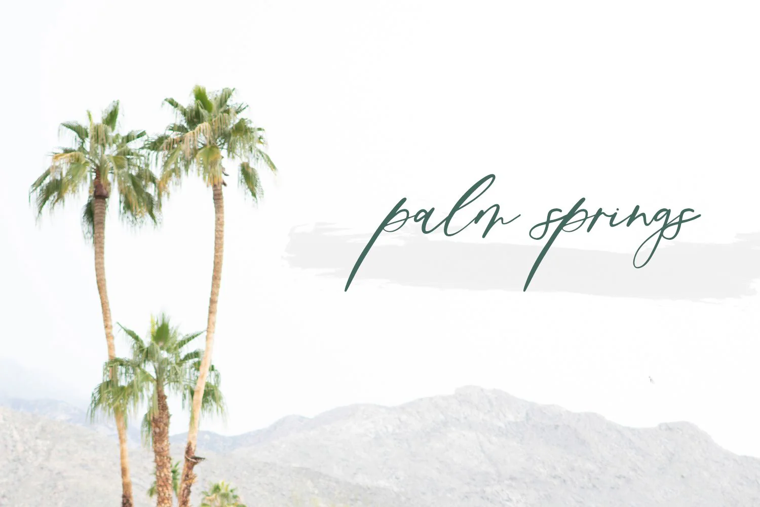 Palm Desert Modern Calligraphy Font - Image 3