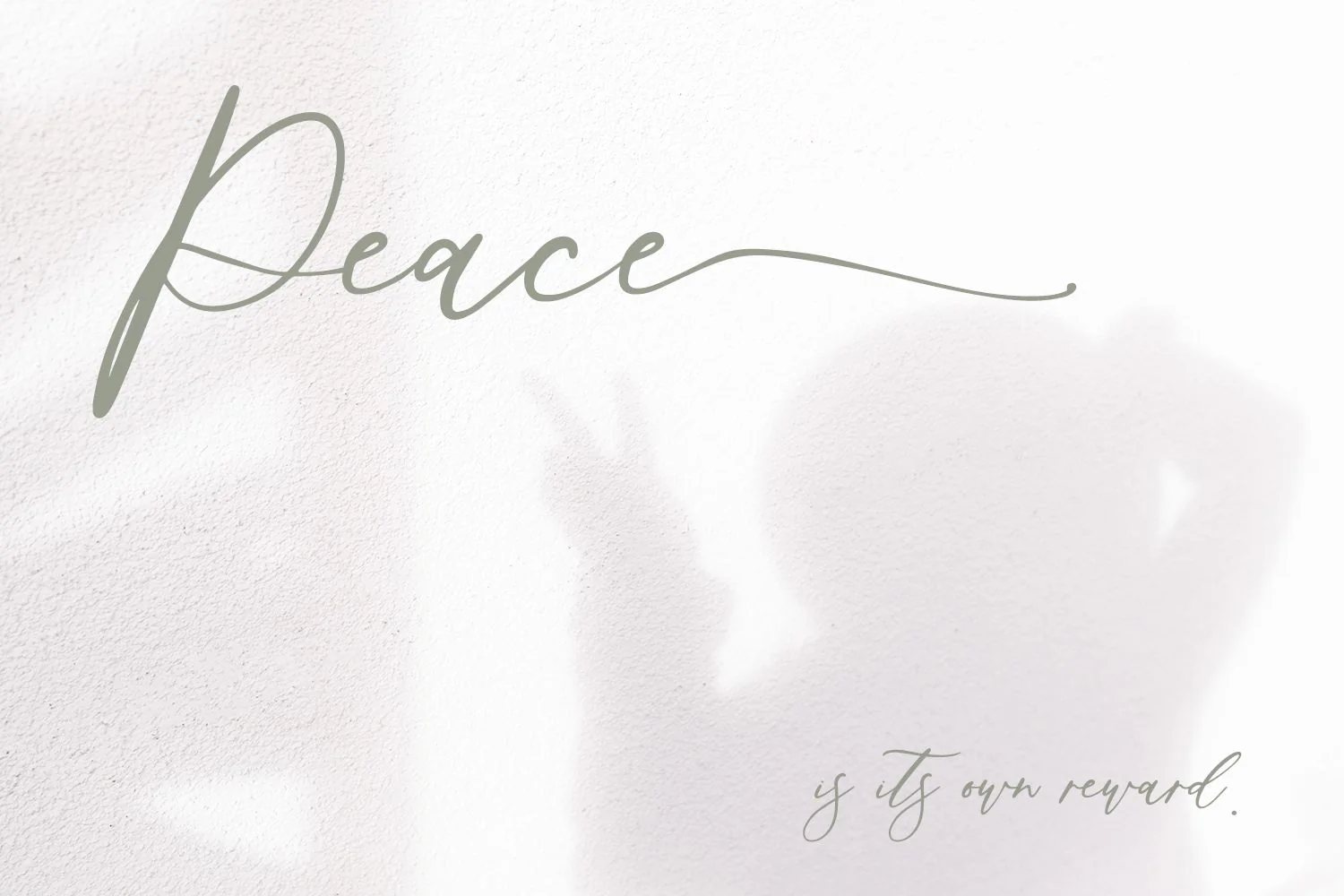 Palm Desert Modern Calligraphy Font - Image 6