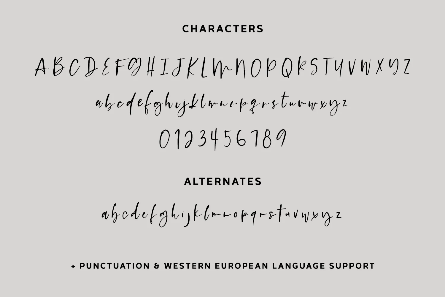Platespinner Script - Image 10