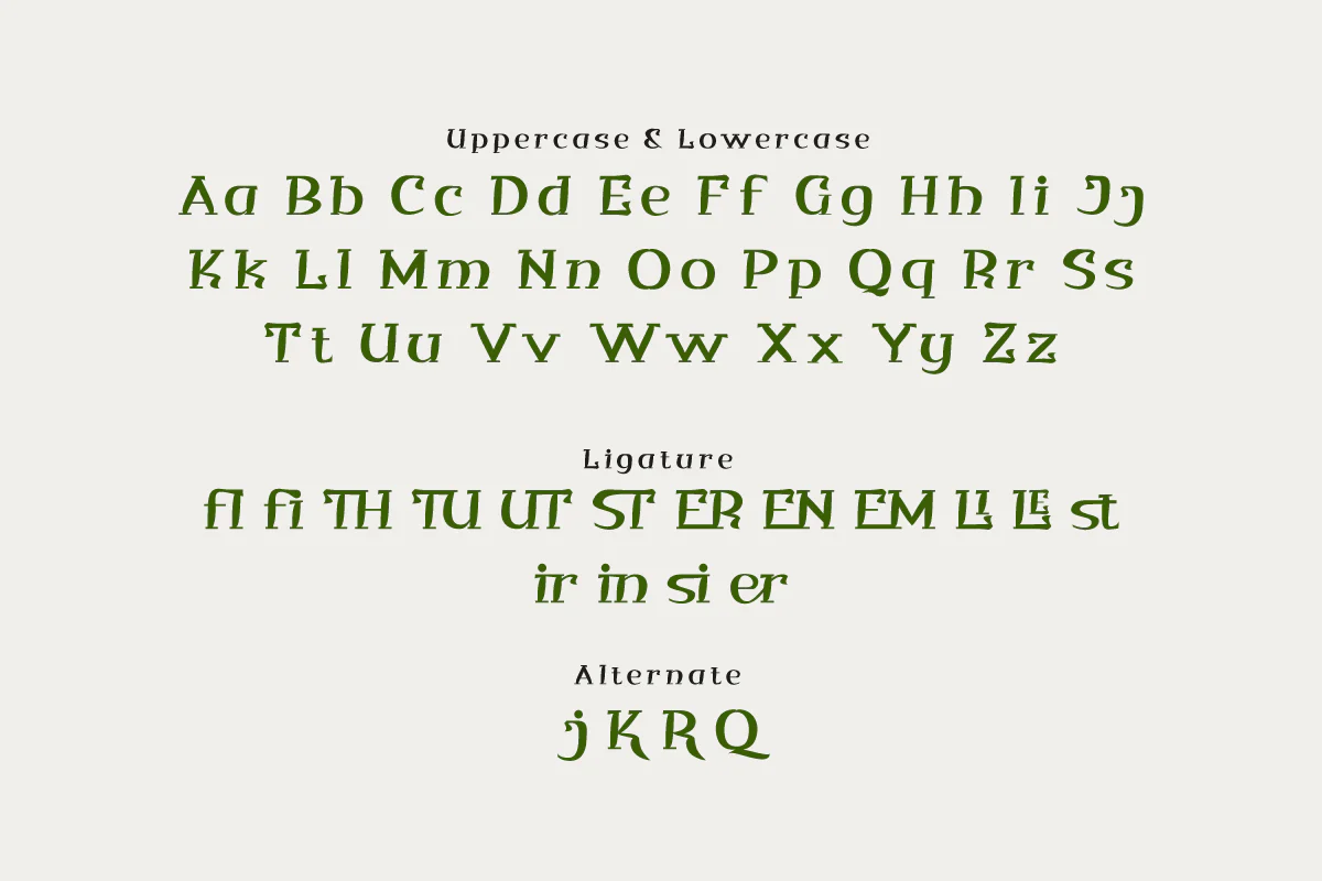 Qituen - Classic Modernism Font - Image 3