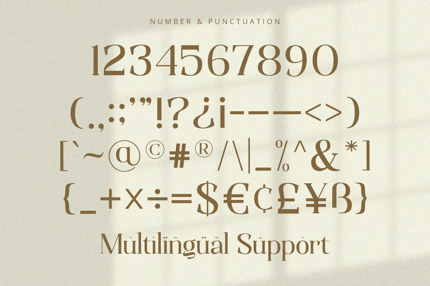 Qualifies - Serif Font - Image 10