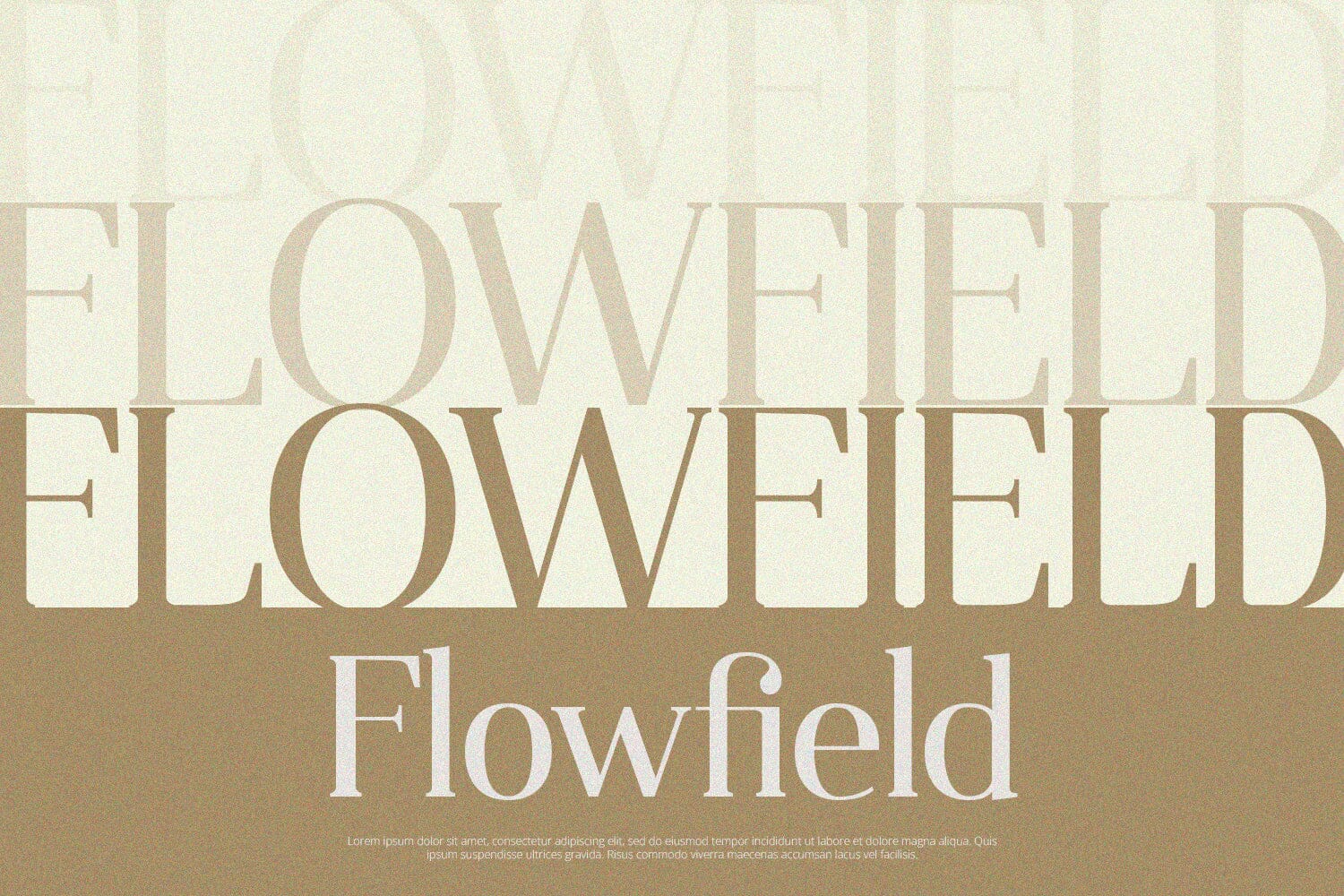 Qualifies - Serif Font - Image 4