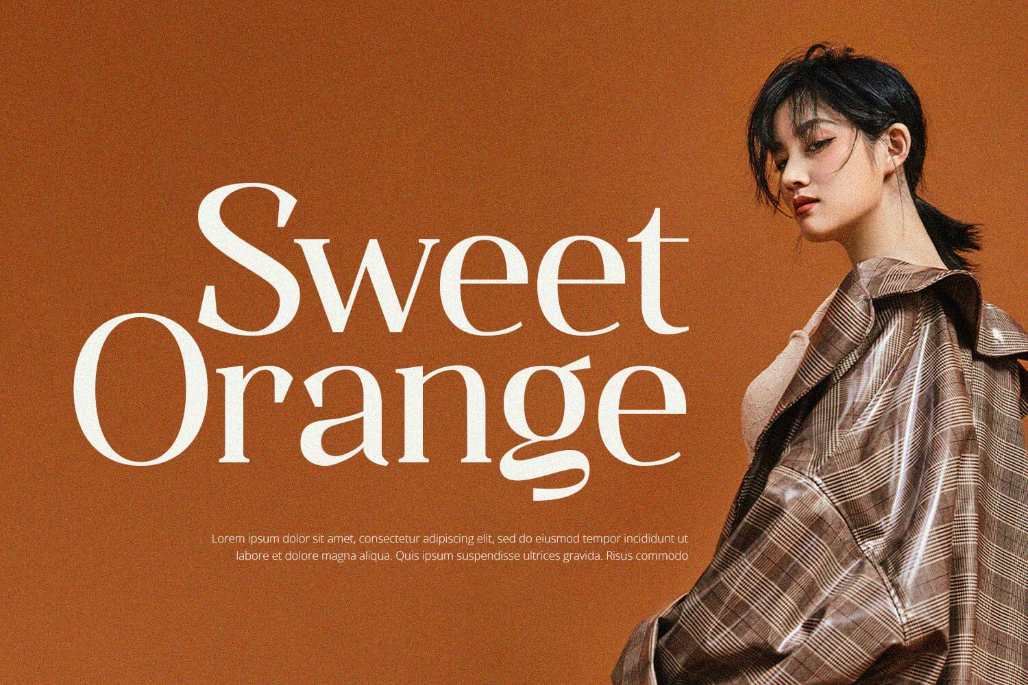 Qualifies - Serif Font - Image 5