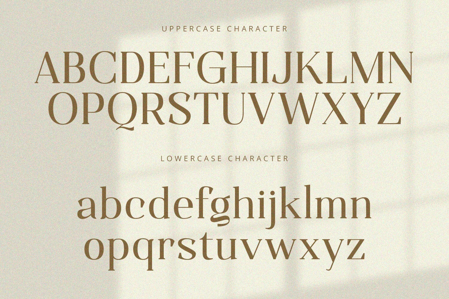 Qualifies - Serif Font - Image 9