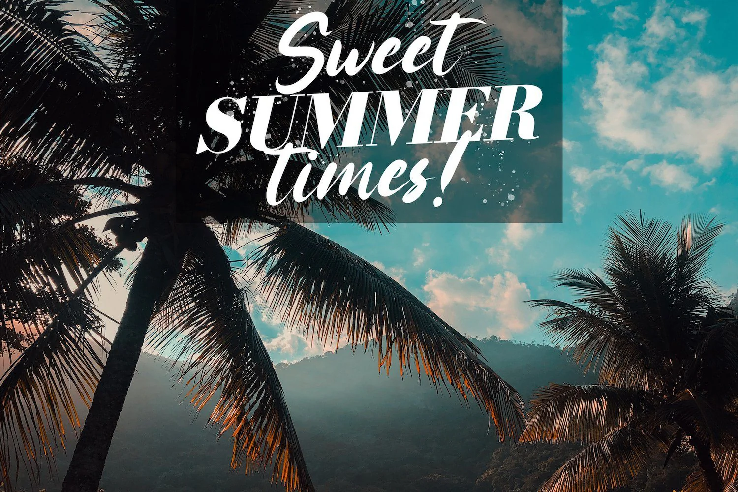 Rattoney - Bold Script Font - Image 2