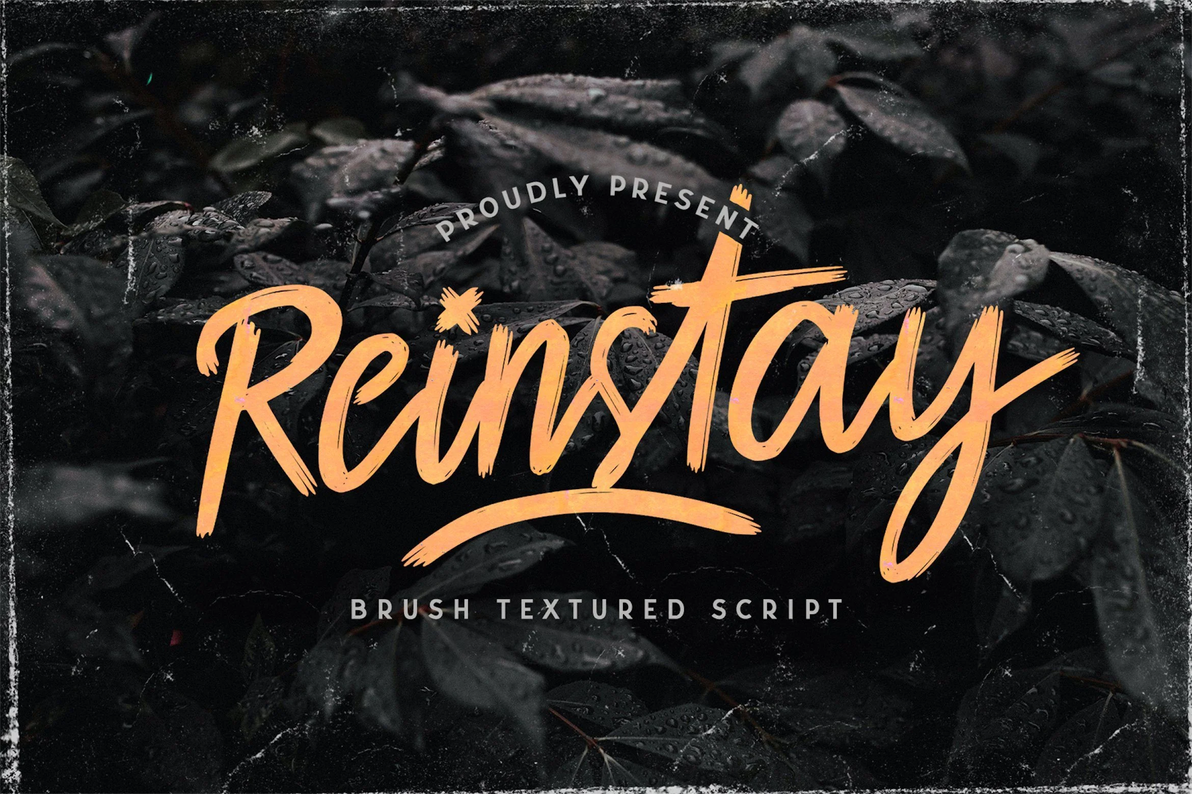 Reinstay - Brush Textured Script Font