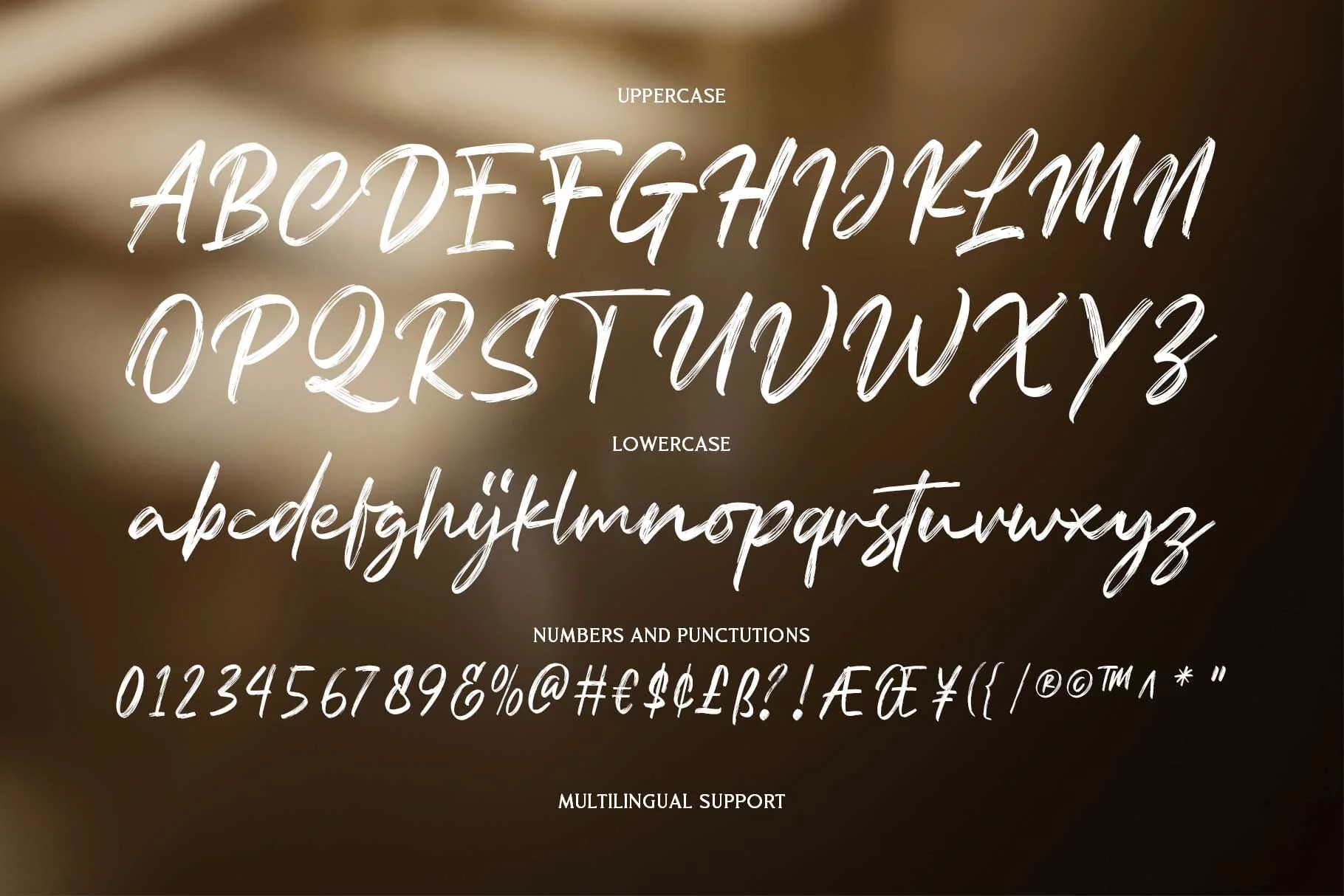 Relsika - Rough Script - Image 12