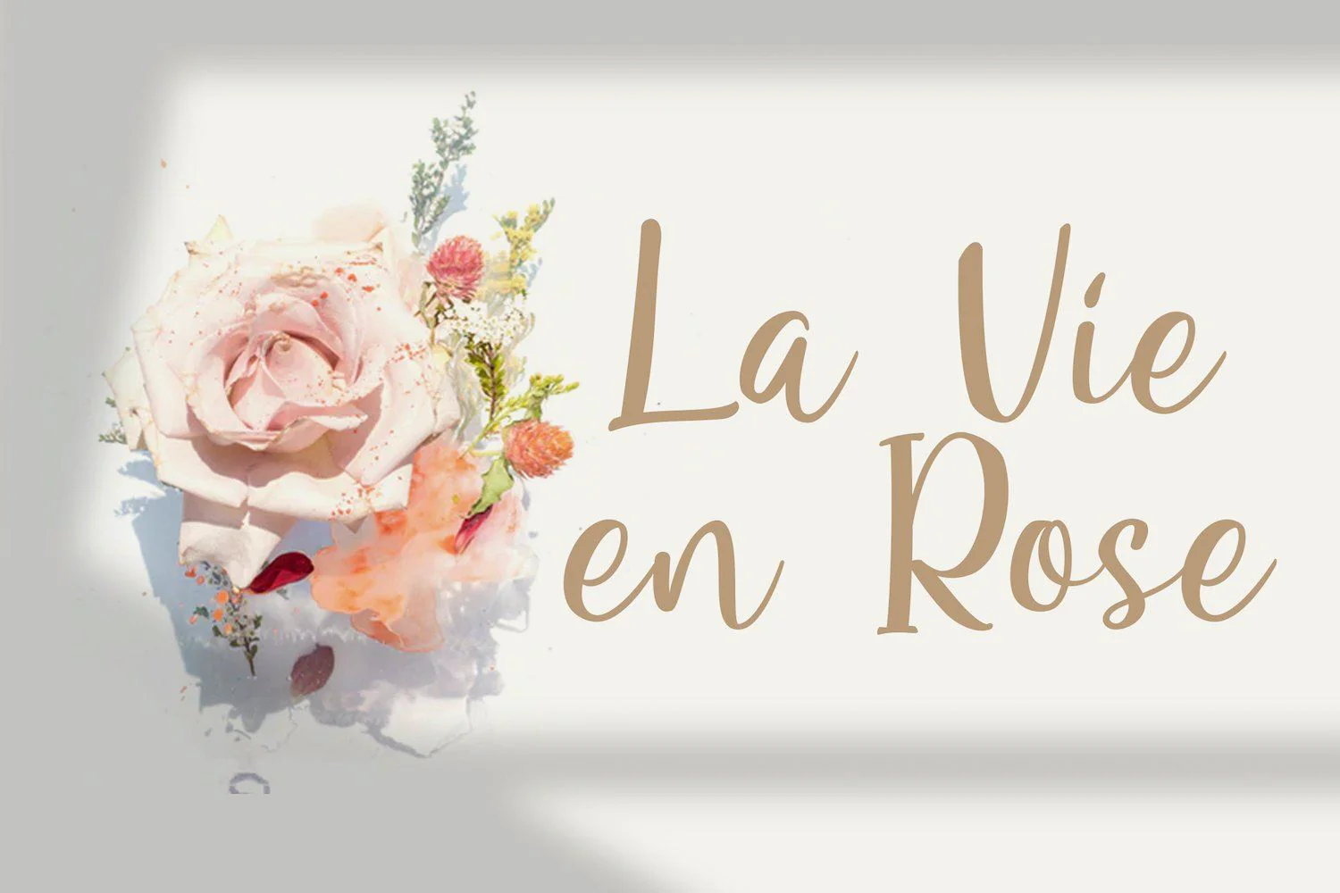 Renitah - Lovely Script Font - Image 5