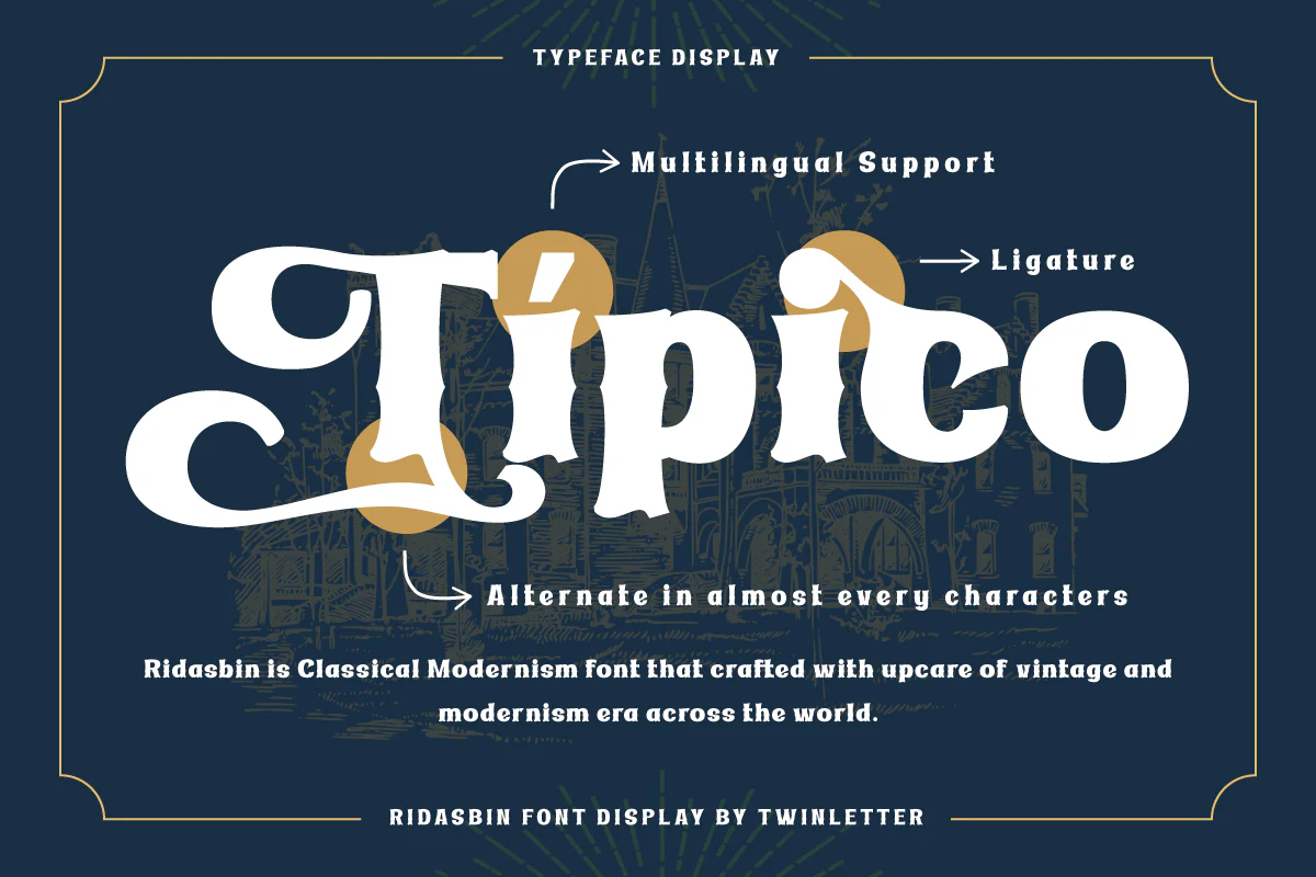 Ridasbin | Serif Classic Modernism - Image 2