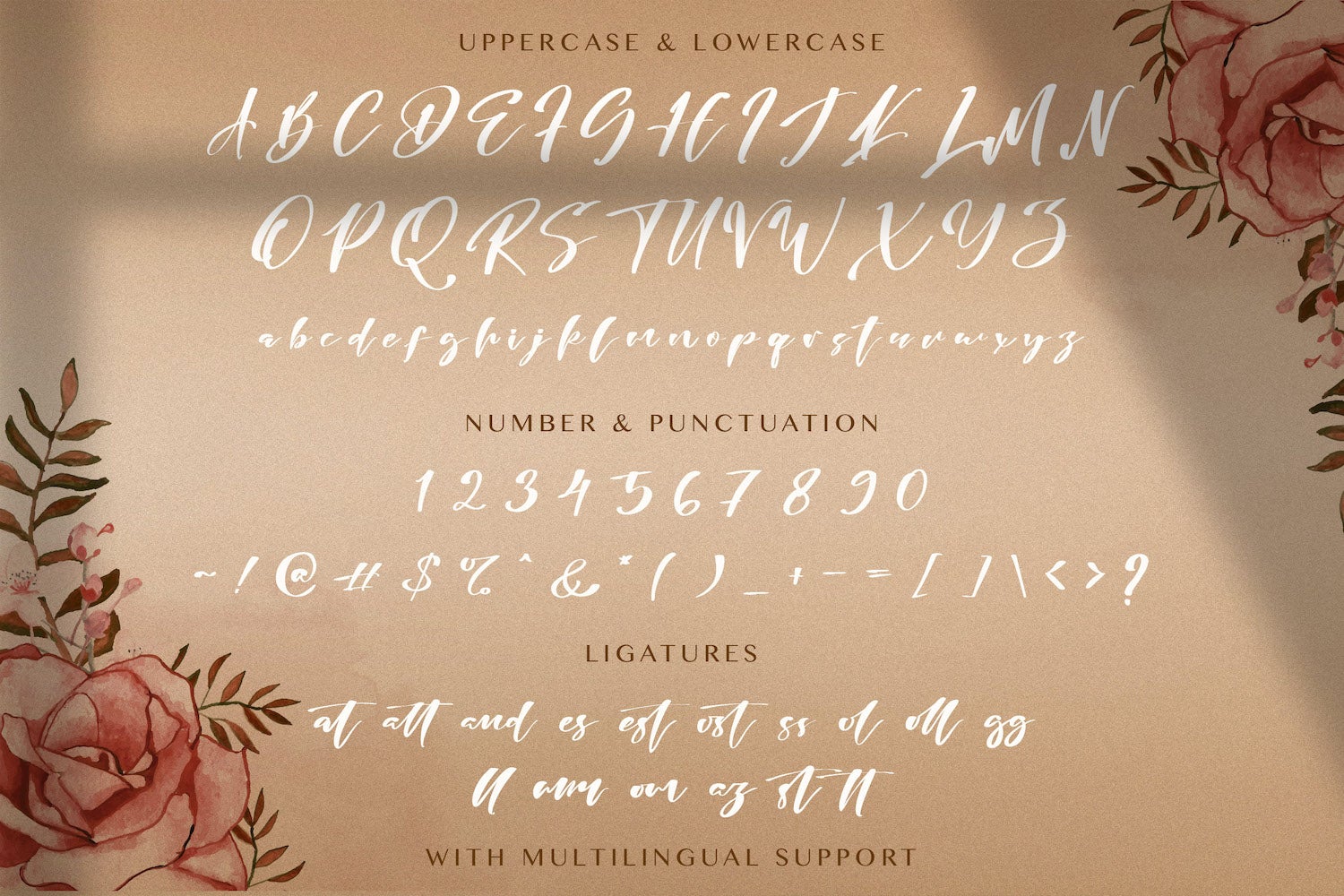 Risatry - Calligraphy Font - Image 9