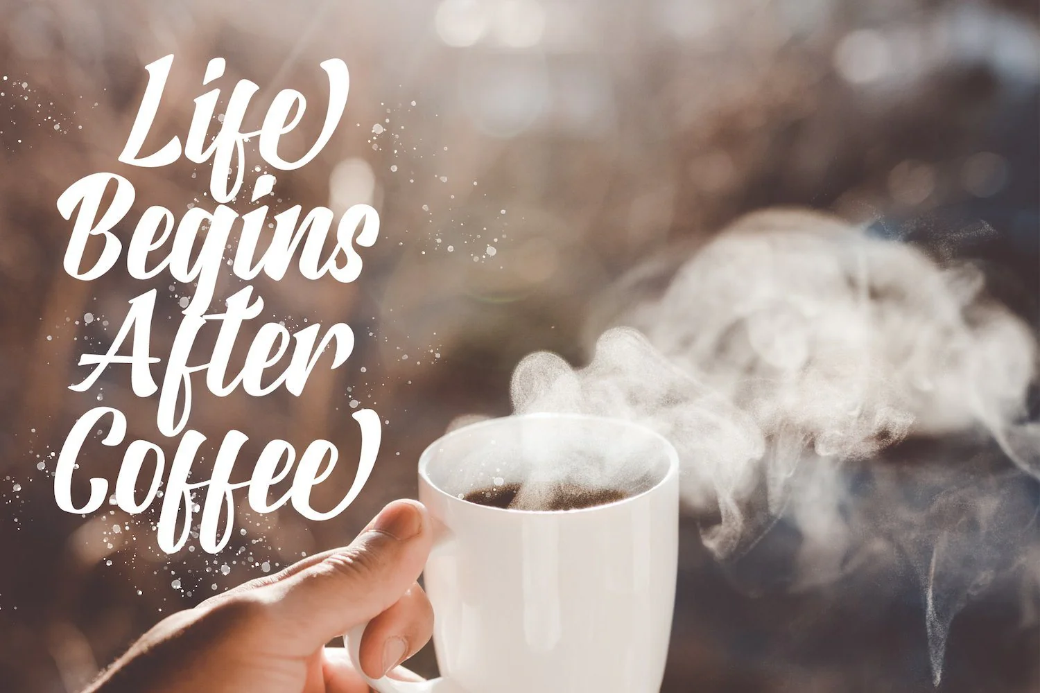 Rosalinda - Bold Script Font - Image 2