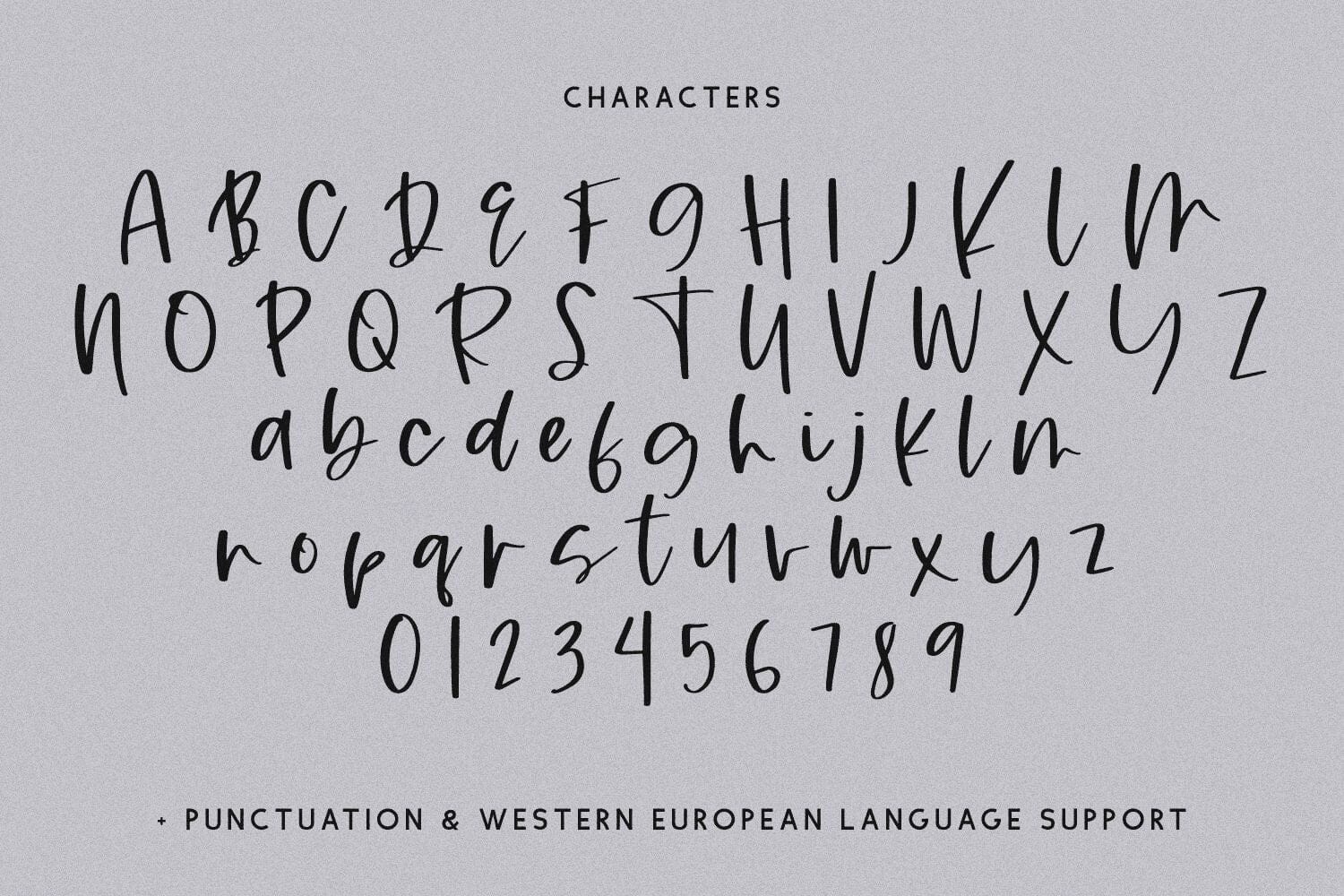 Rusticity Script - Image 10