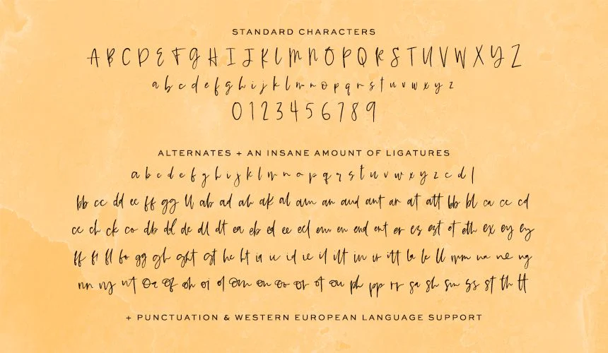 Saffron Night Signature Script Font - Image 10
