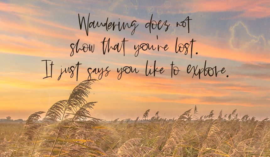 Saffron Night Signature Script Font - Image 9