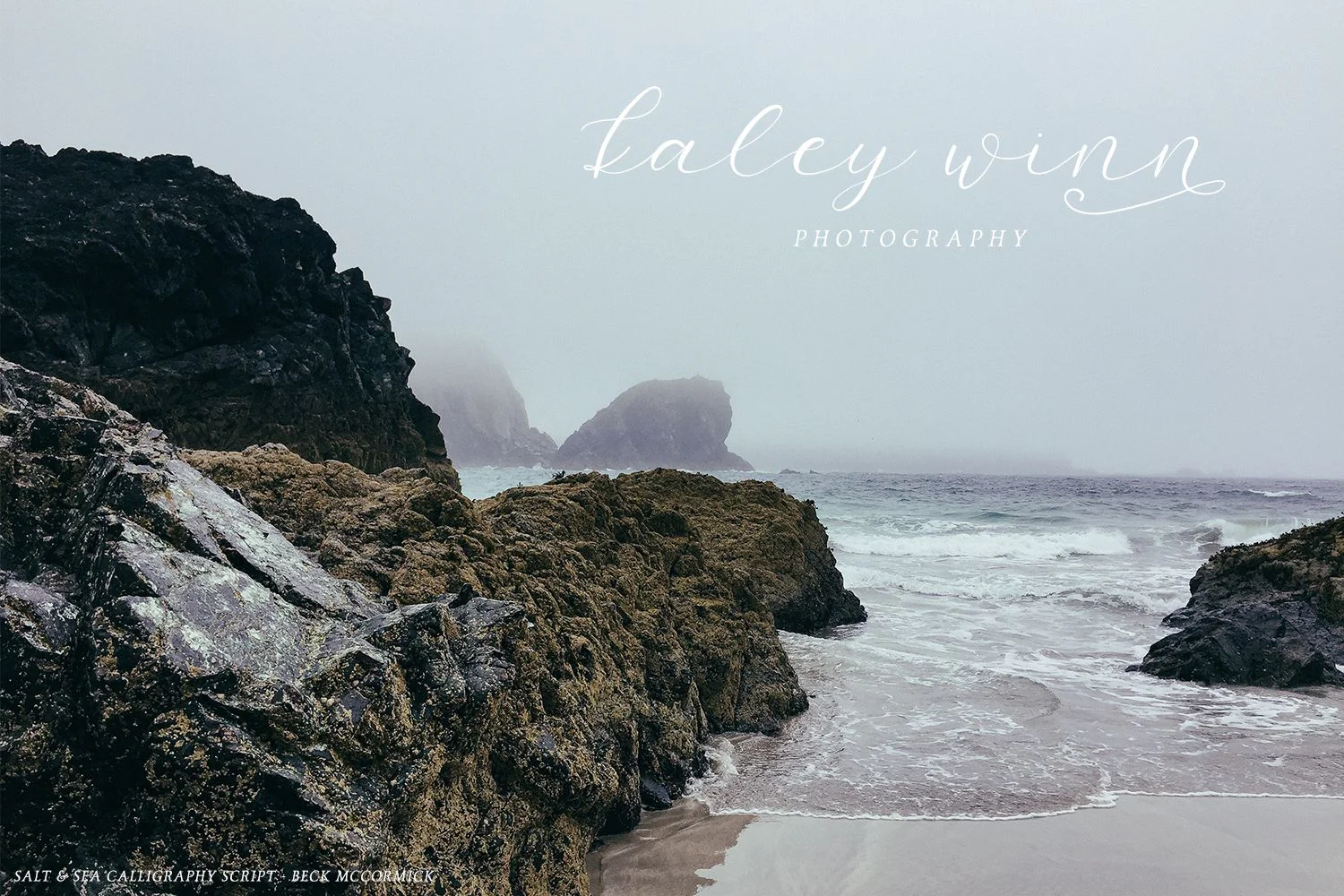 Salt and Sea Calligraphy Font - Image 10