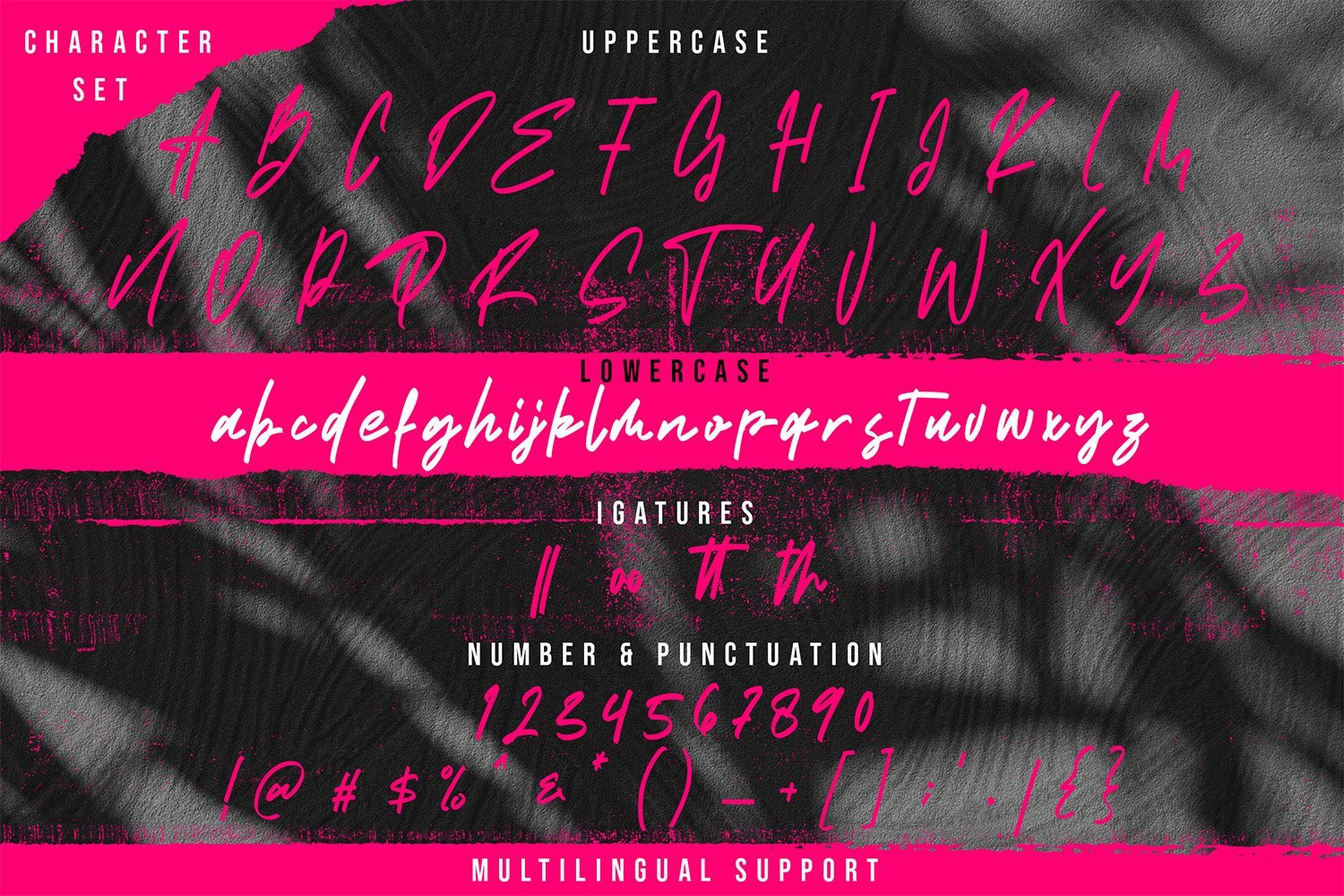Santy Ehisa - Stylish Script Font - Image 14