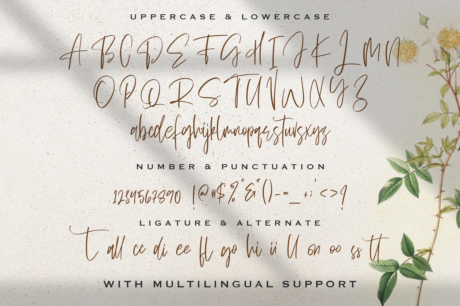 Sellviny Queen - Handwritten Font - Image 14