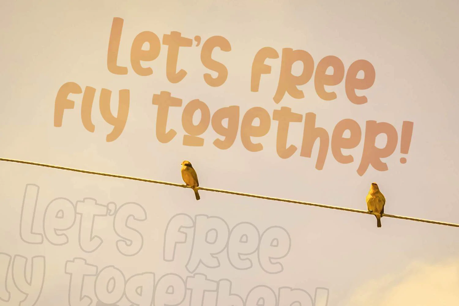 Senoya Bright - Playful Display Font - Image 4