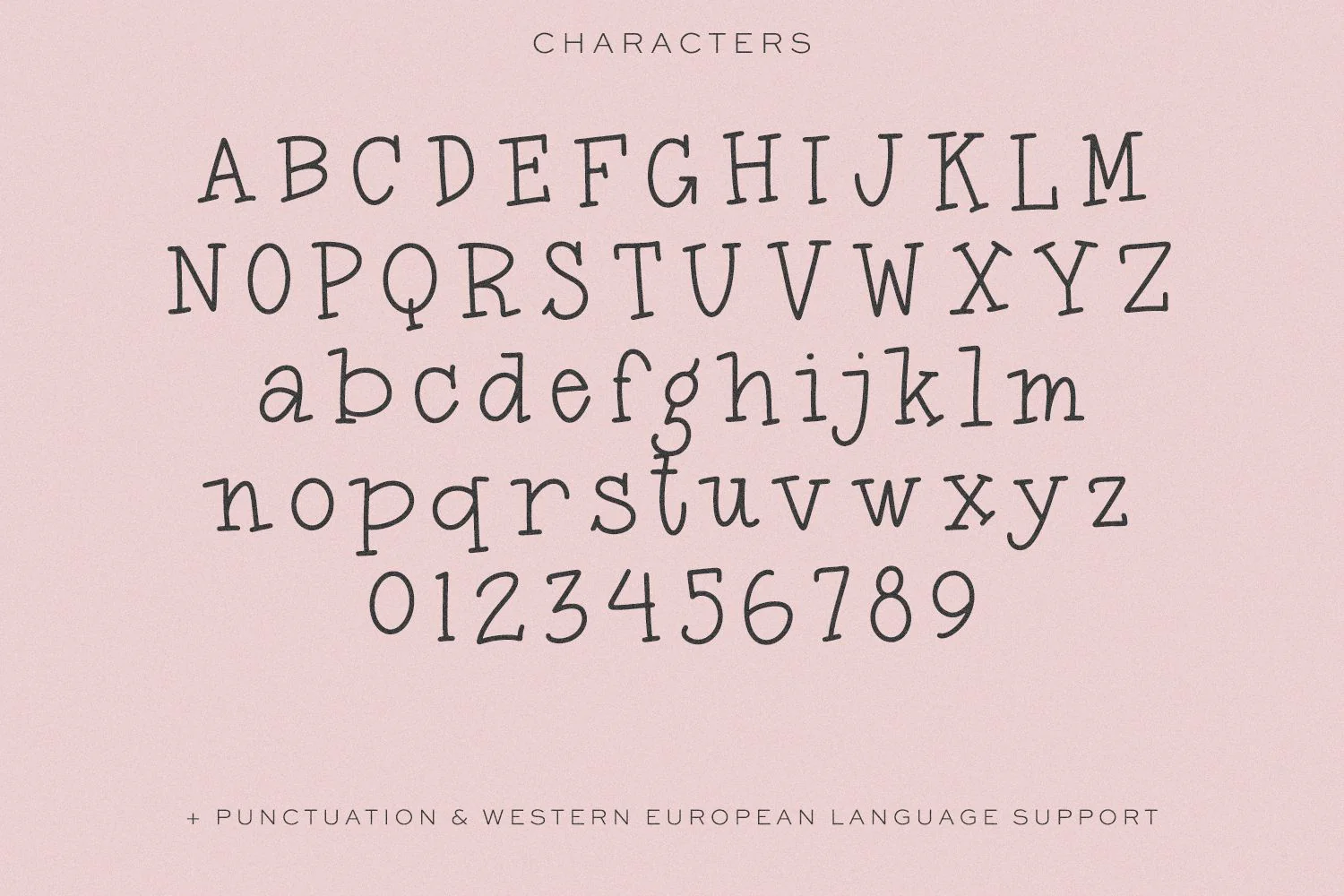 September Market Serif - Image 10