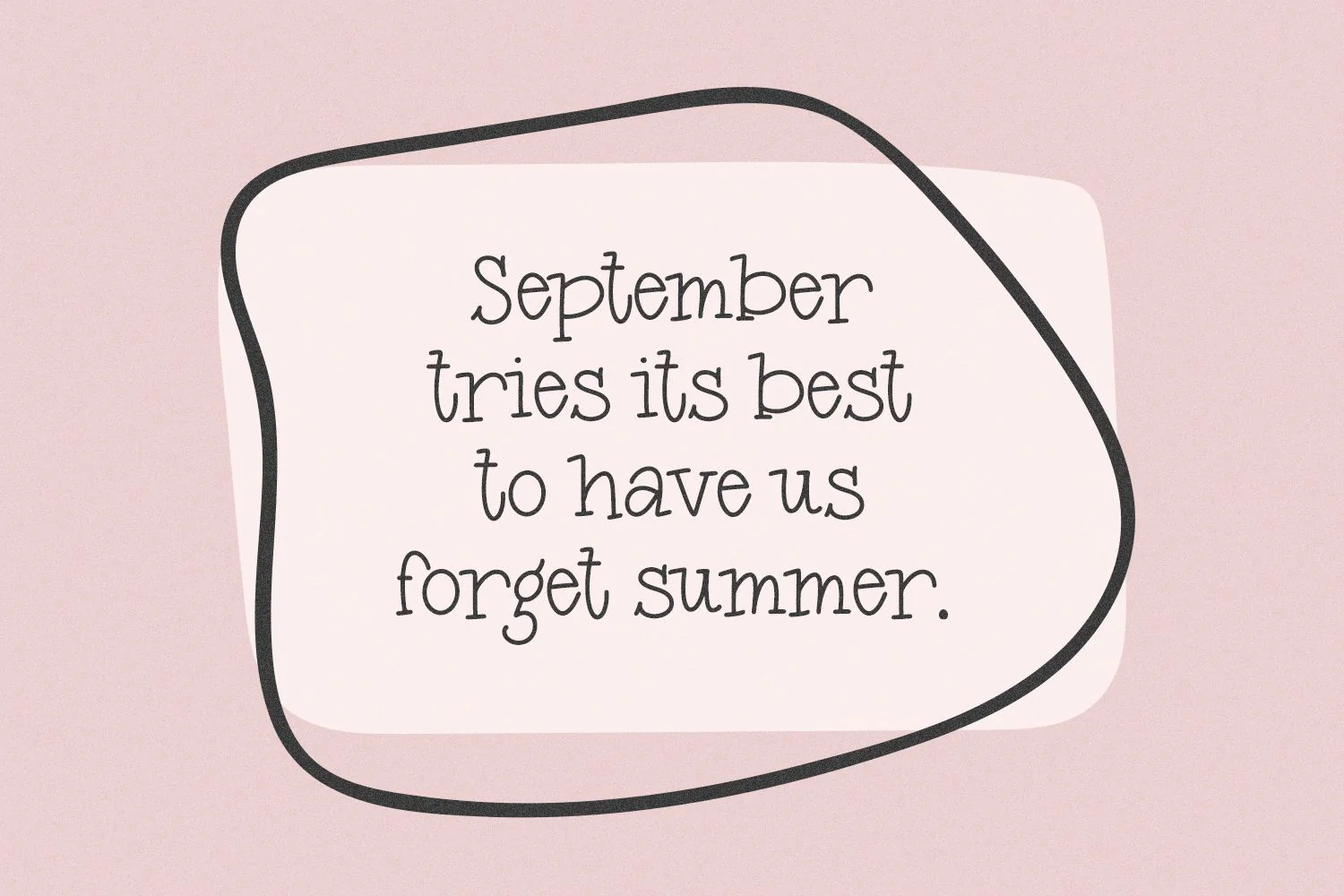 September Market Serif - Image 8
