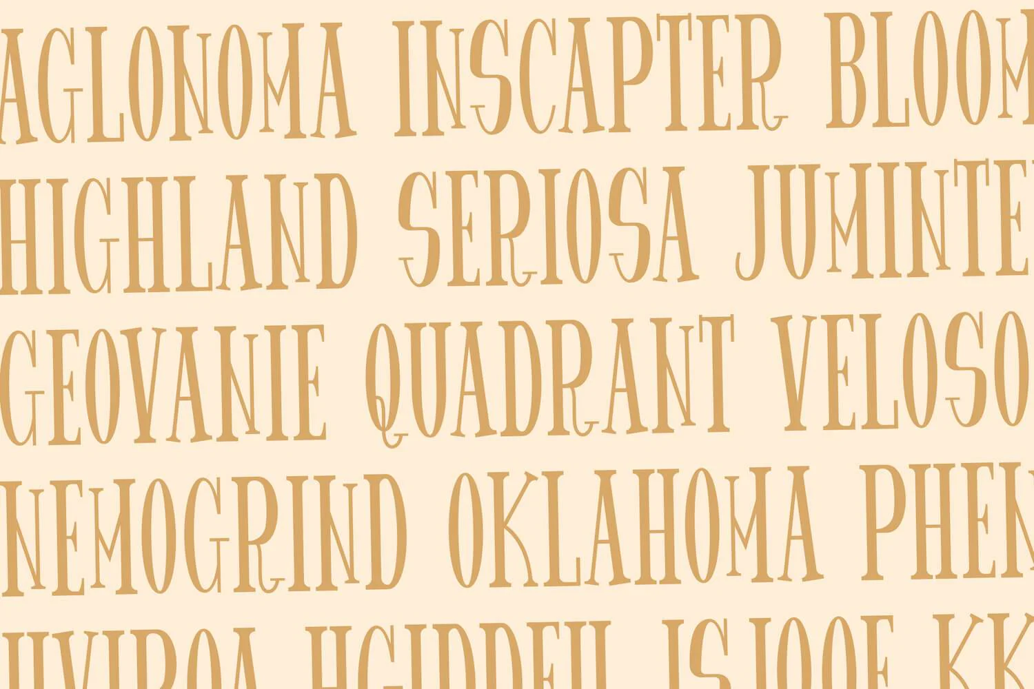 Spider King - Beautiful Serif Font - Image 3