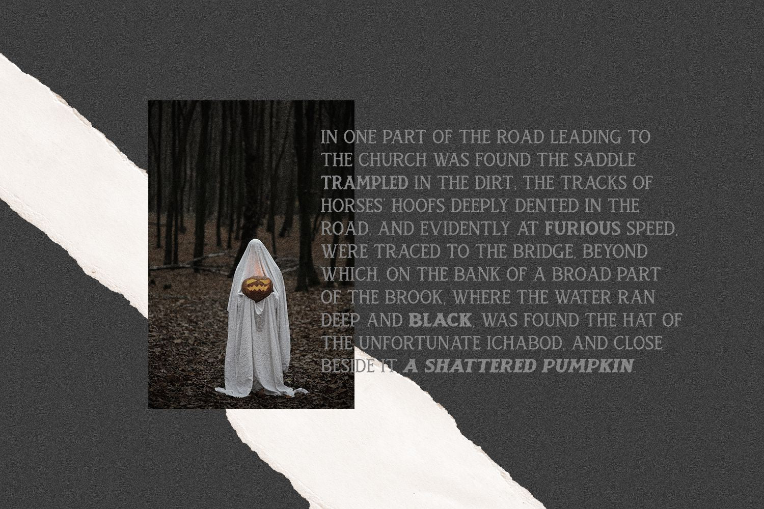 Spirit Box Serif Type Family - Image 6