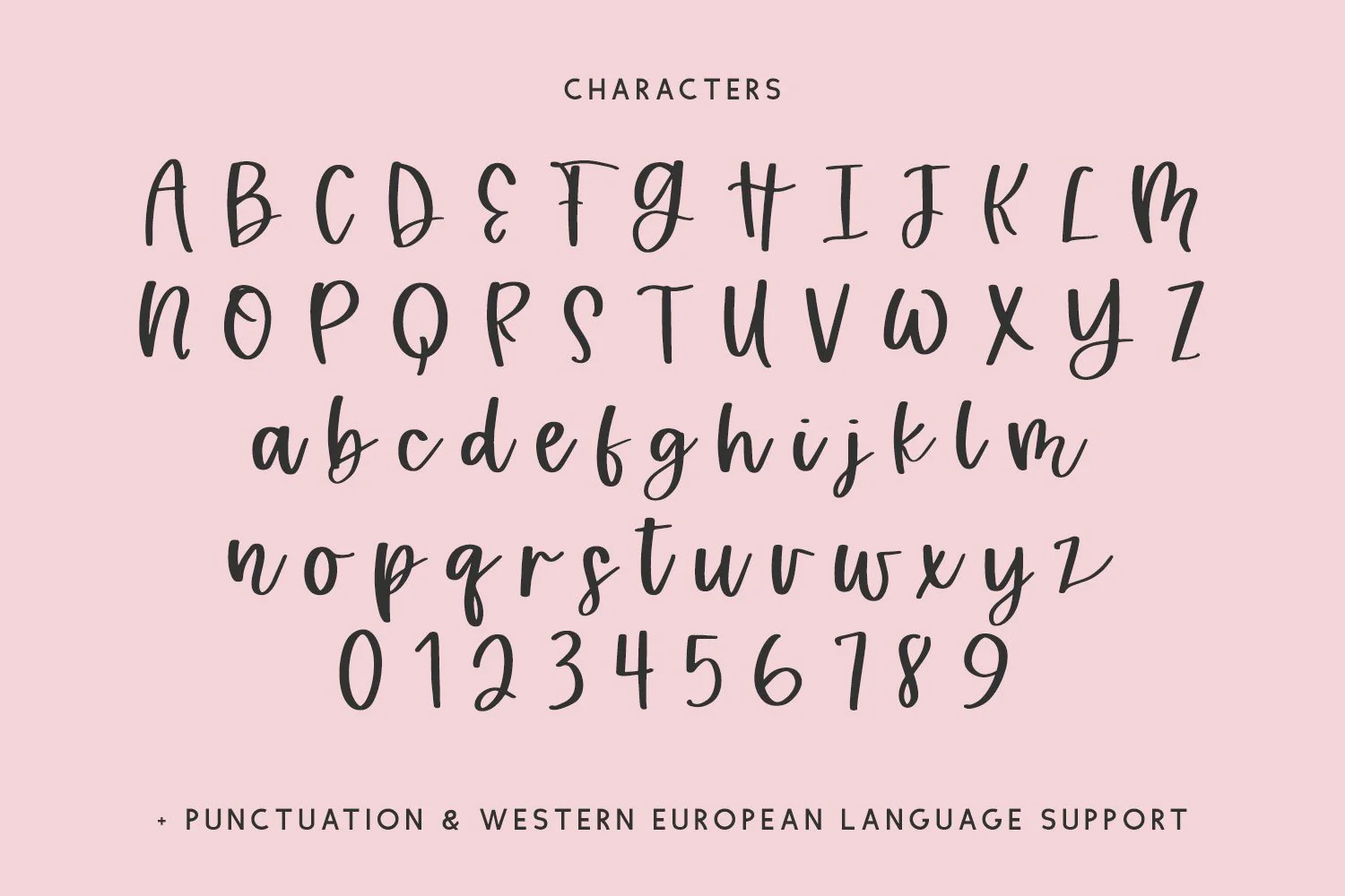 Sprightly Charm Script - Image 10