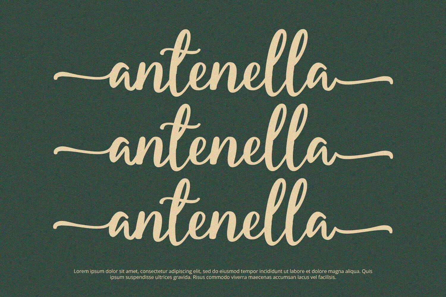 Starella - Script Font - Image 5