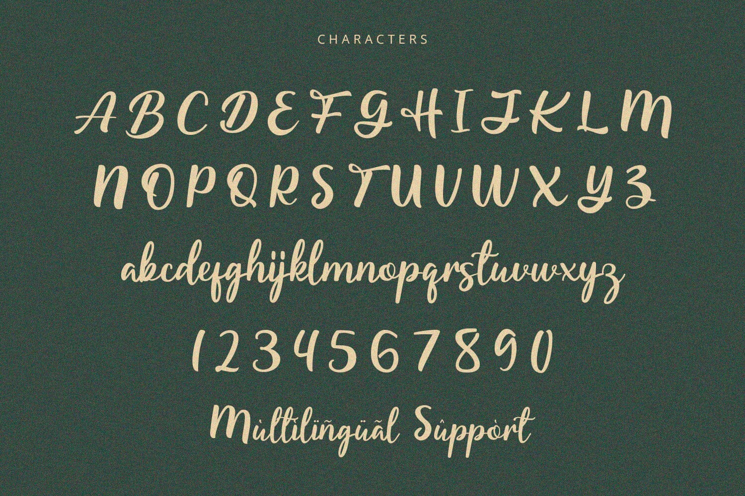 Starella - Script Font - Image 7