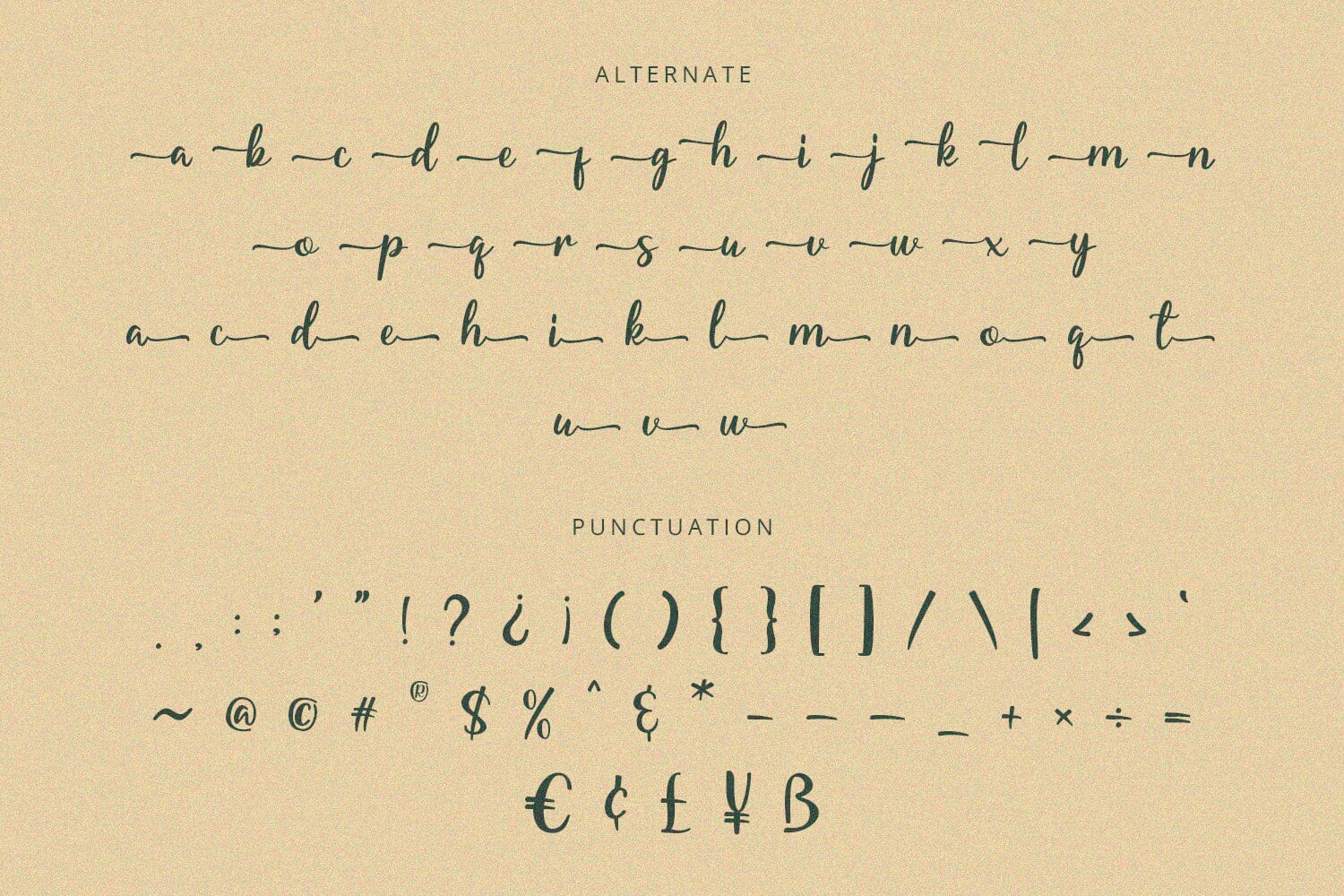 Starella - Script Font - Image 8