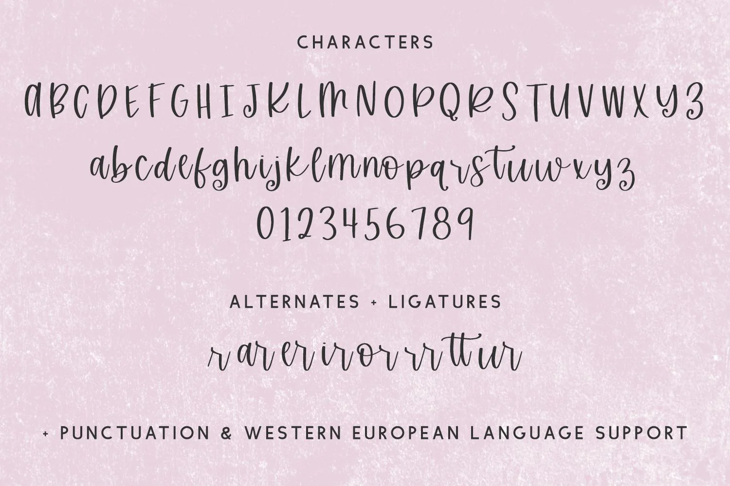 Stirling Cottage Script - Image 10